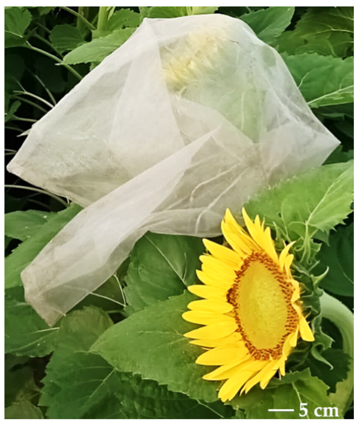 Applsci 15 01576 g001