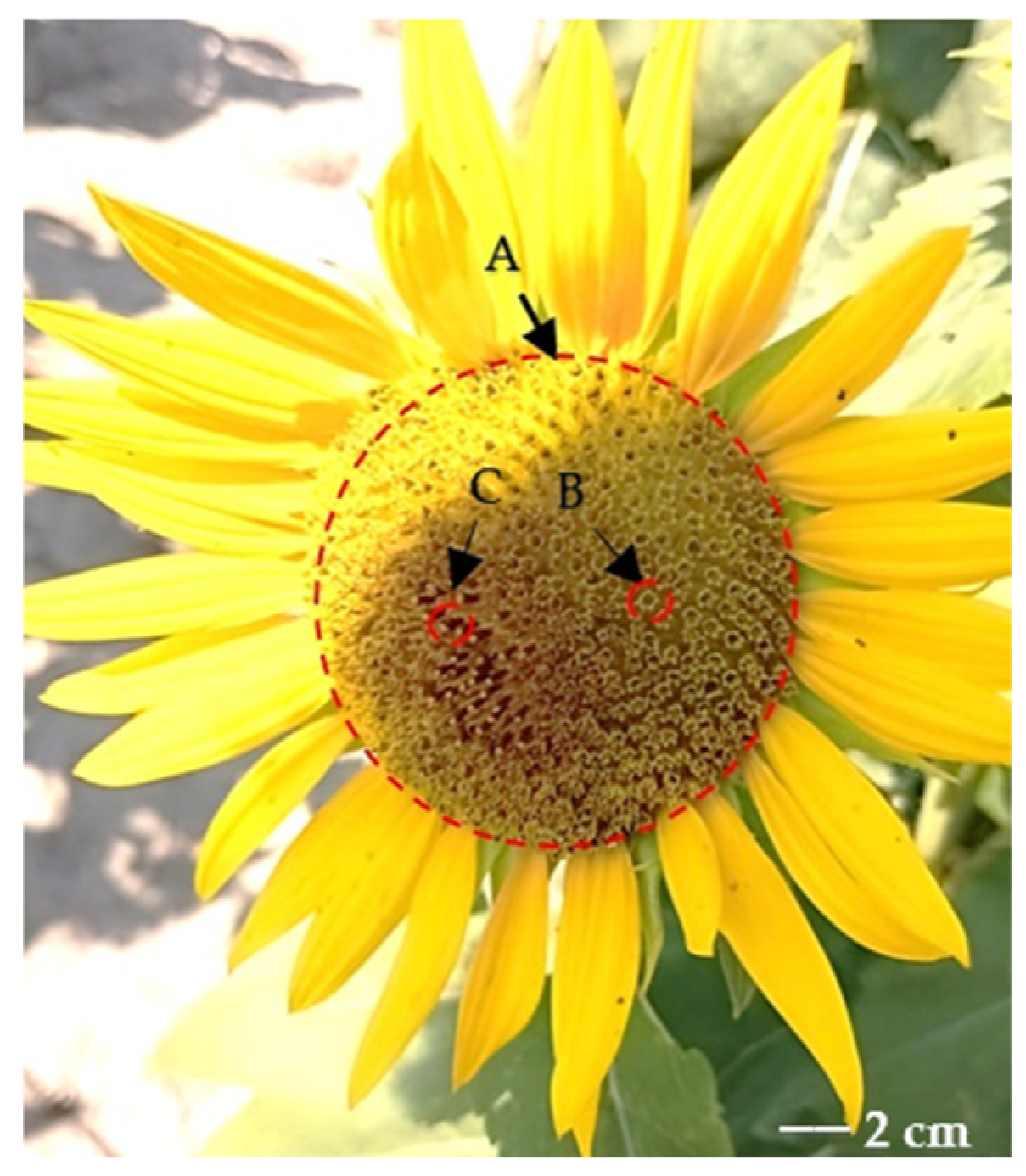 Applsci 15 01576 g002