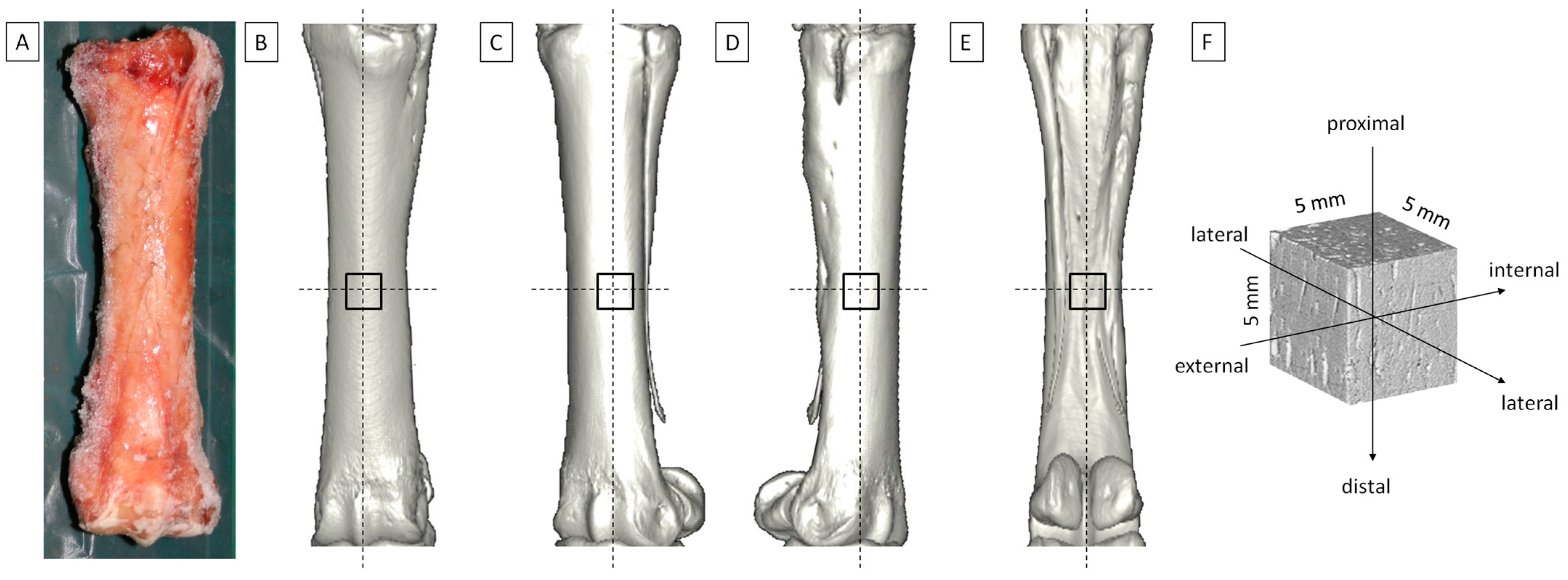 Applsci 15 01593 g001 Applsci 15 01593 g001