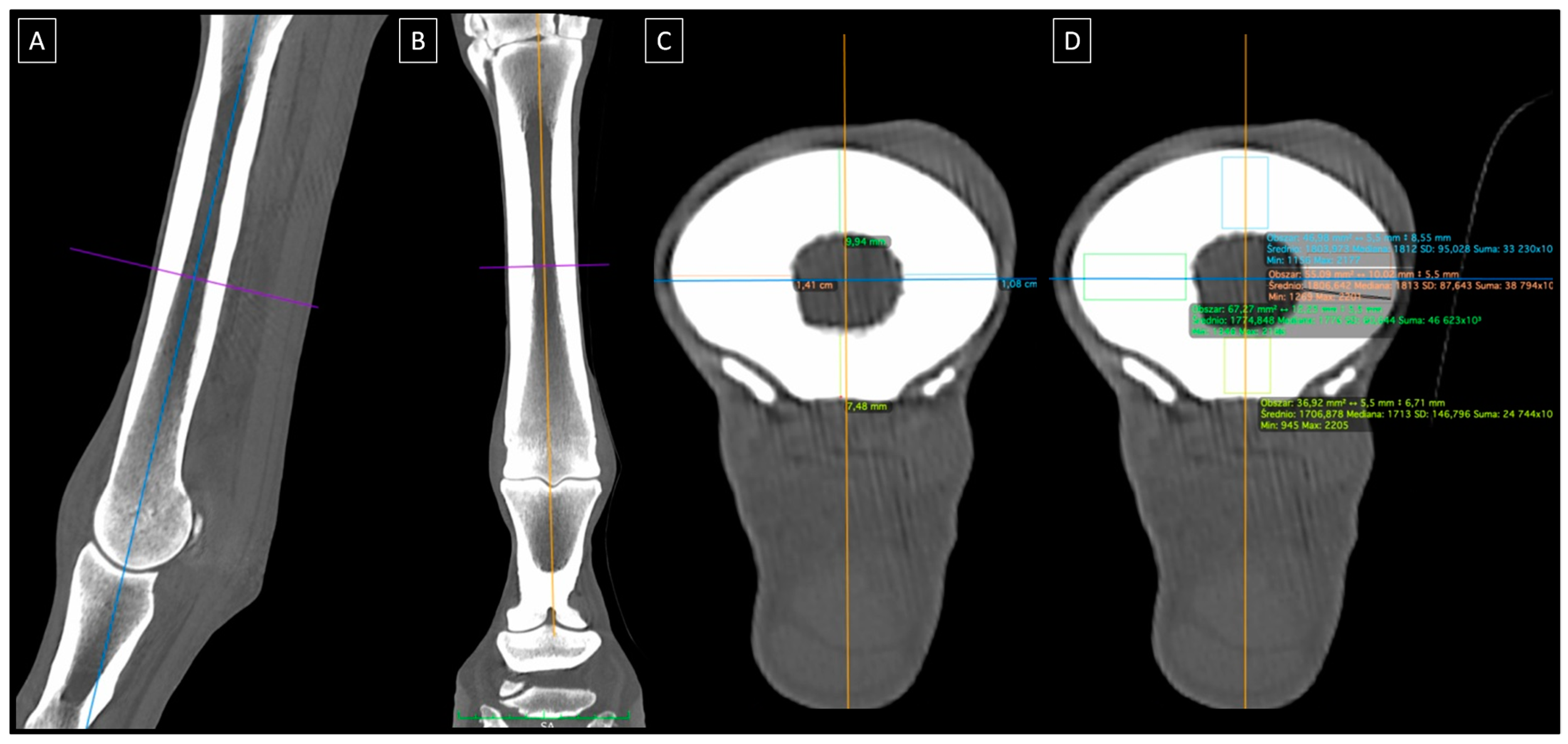 Applsci 15 01593 g002 Applsci 15 01593 g002