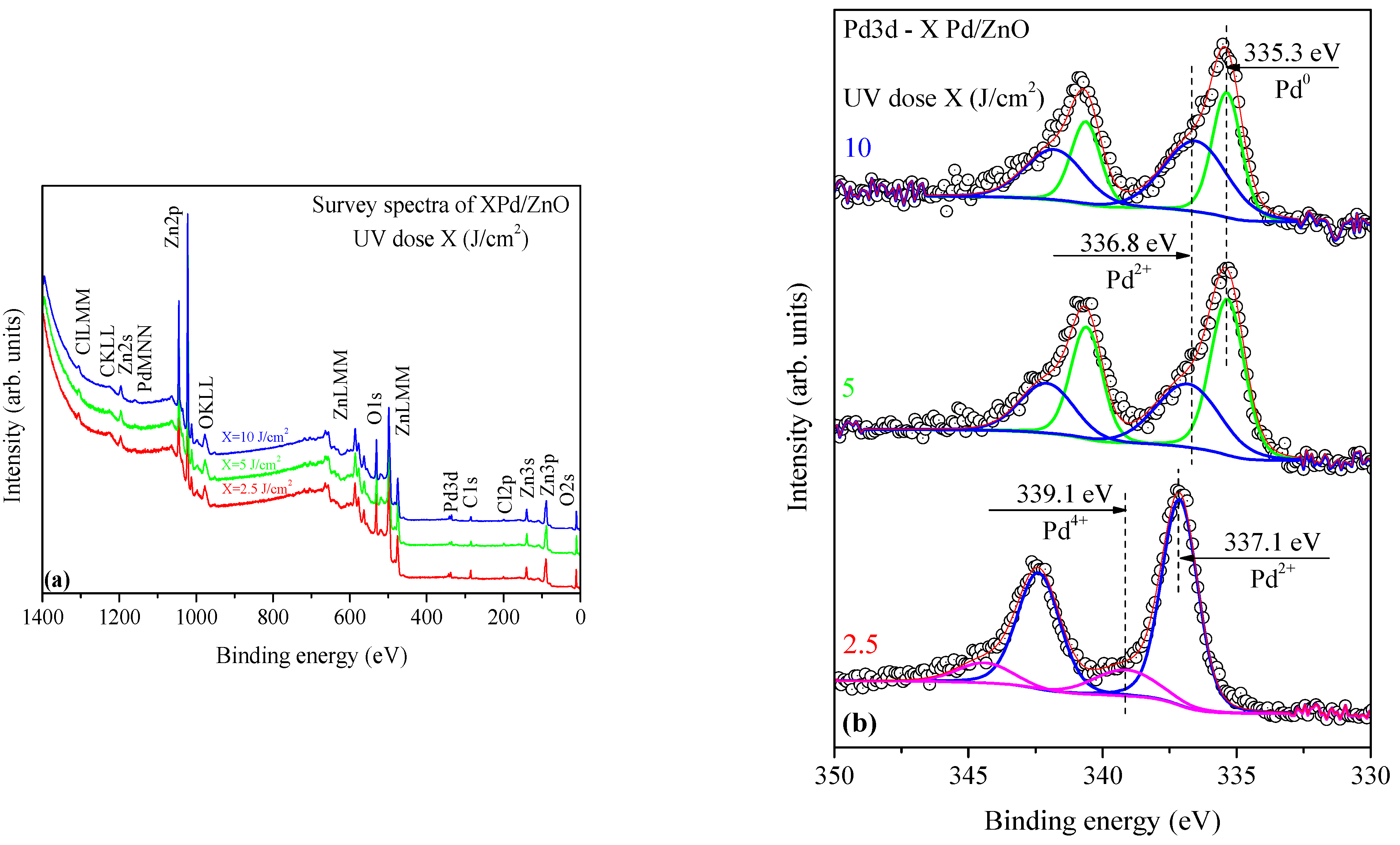 Applsci 15 01609 g006