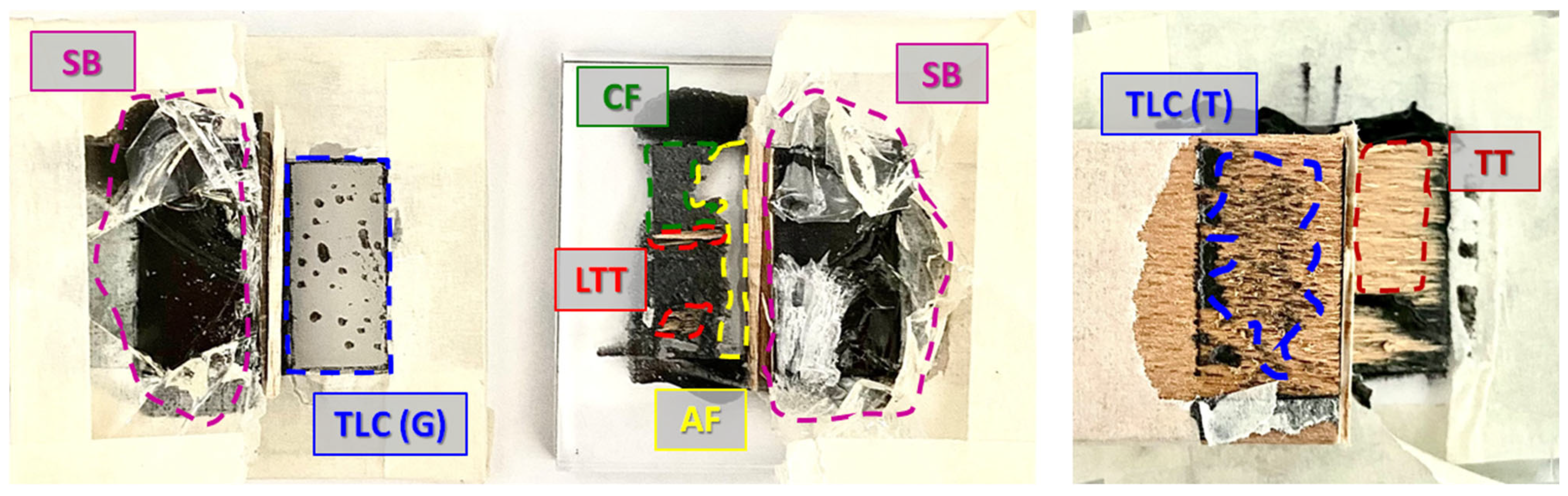 Applsci 15 01616 g006