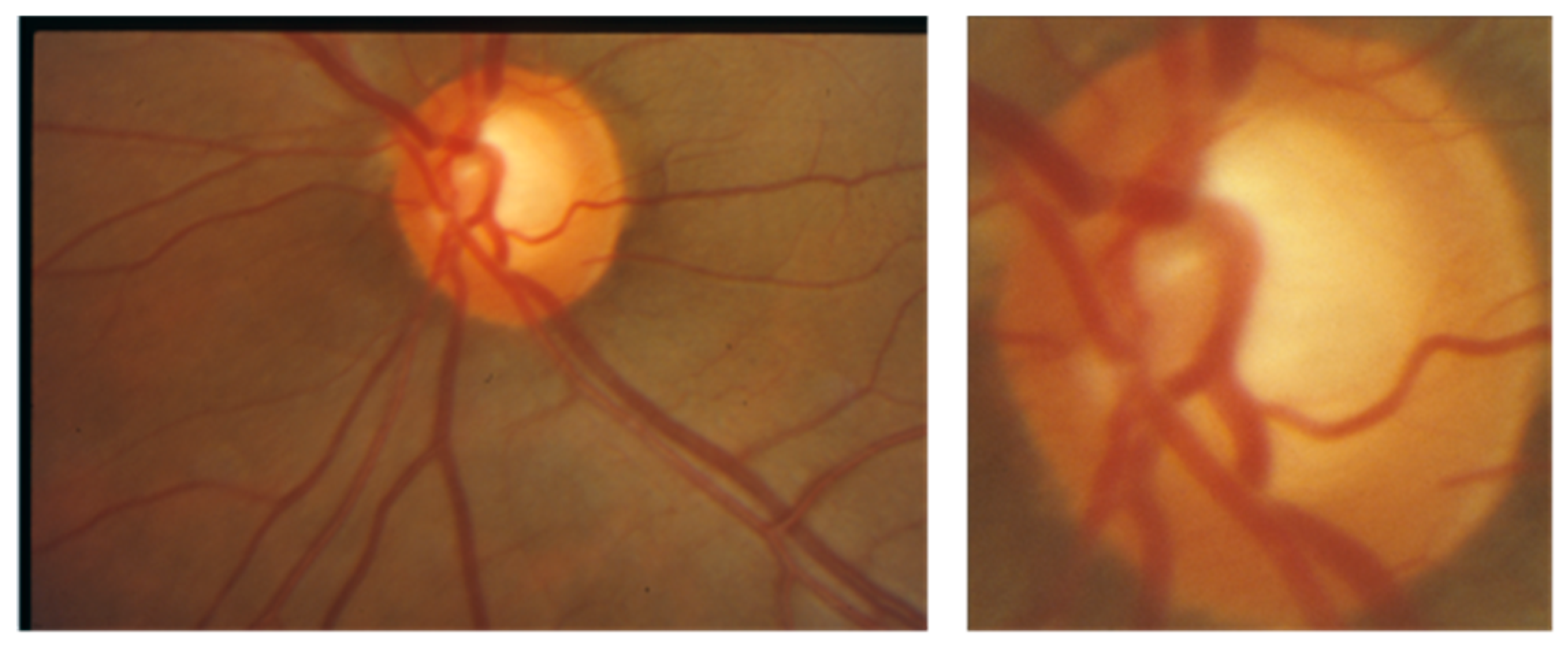 Applsci 15 01627 g004