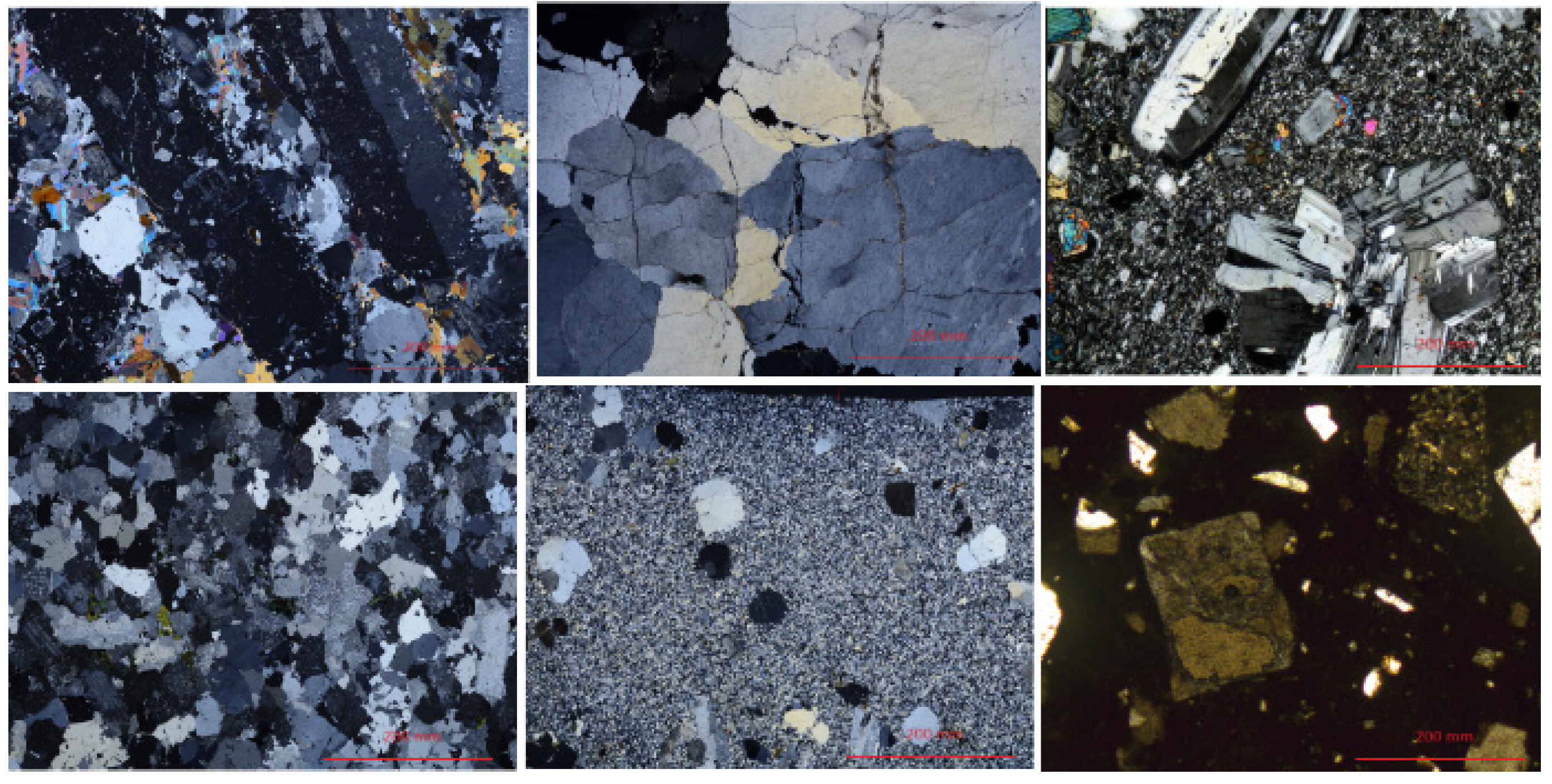 Applsci 15 01630 g002