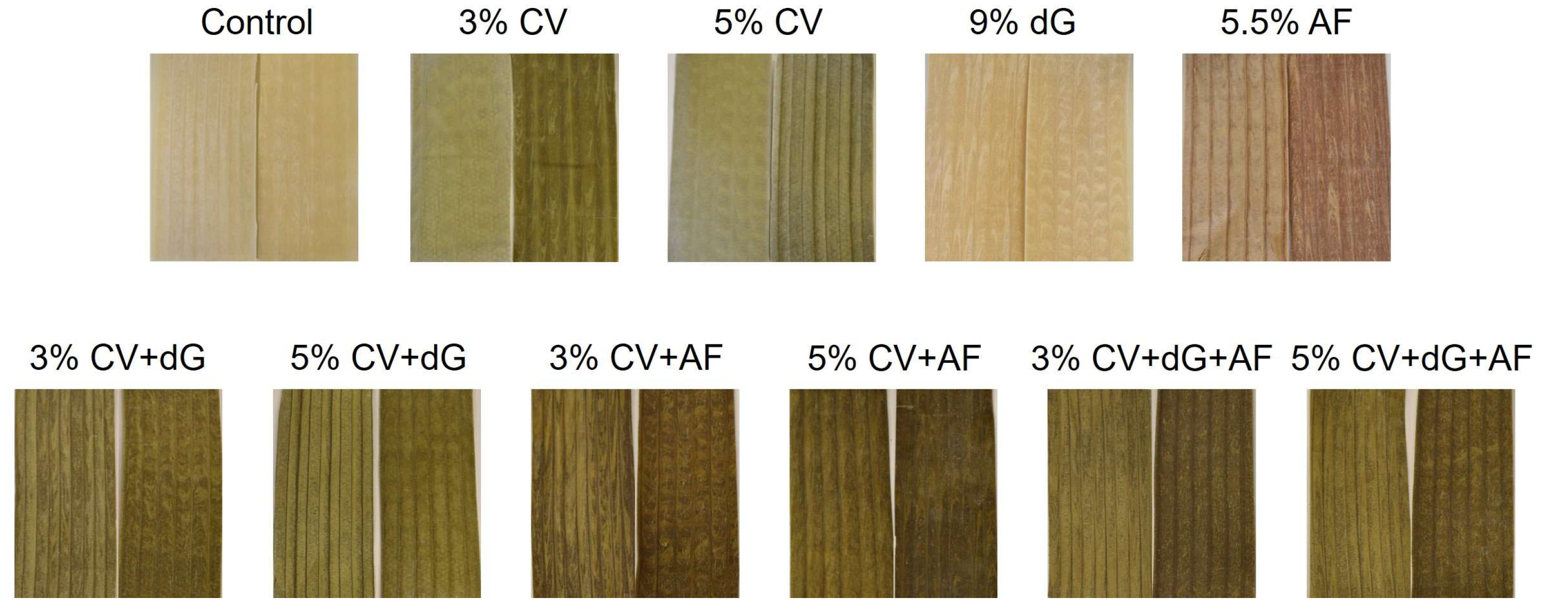 Applsci 15 01639 g001