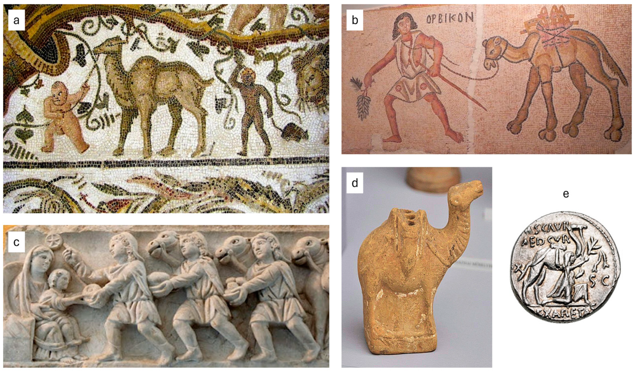 Applsci 15 01644 g001