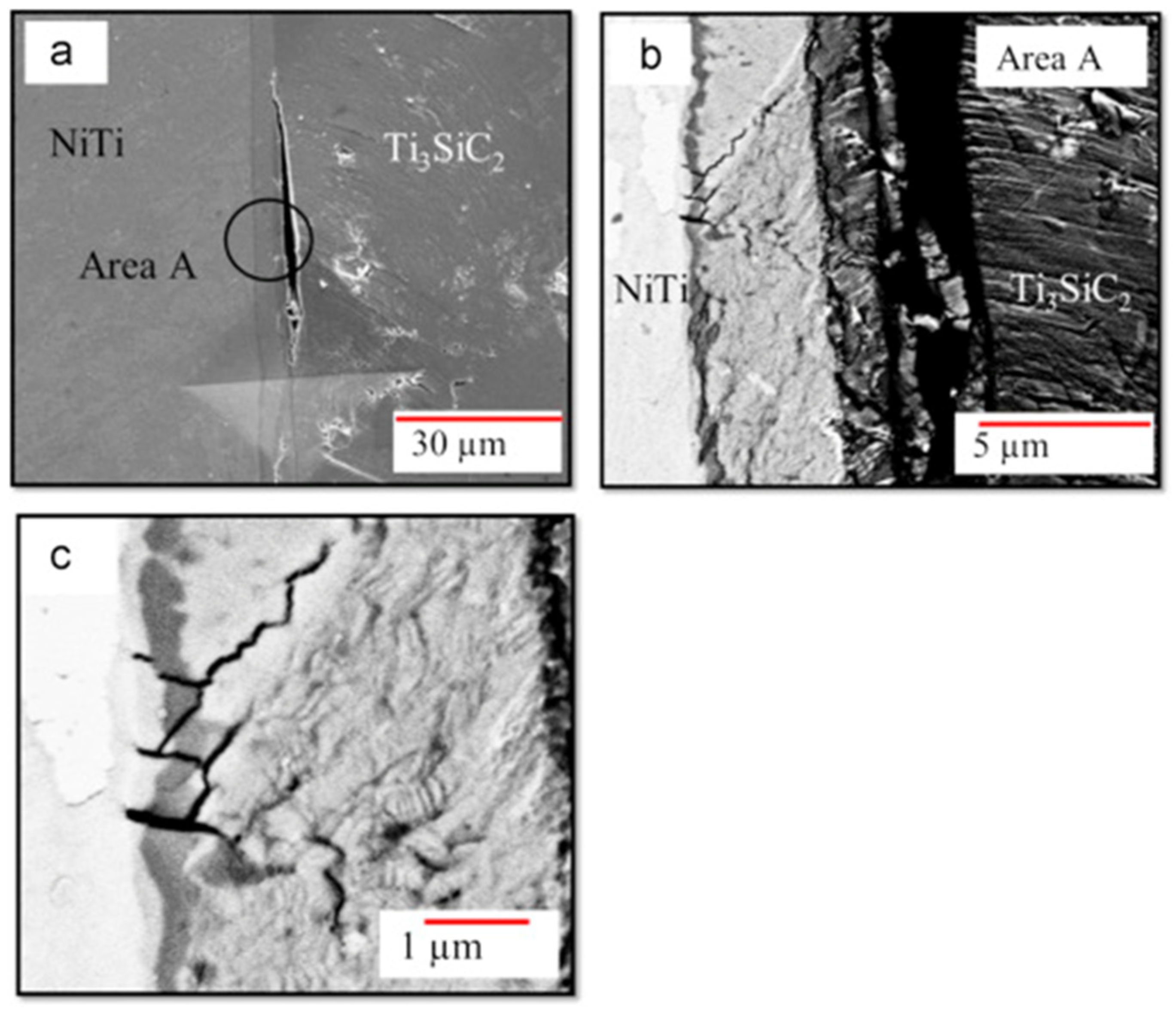 Applsci 15 01646 g015