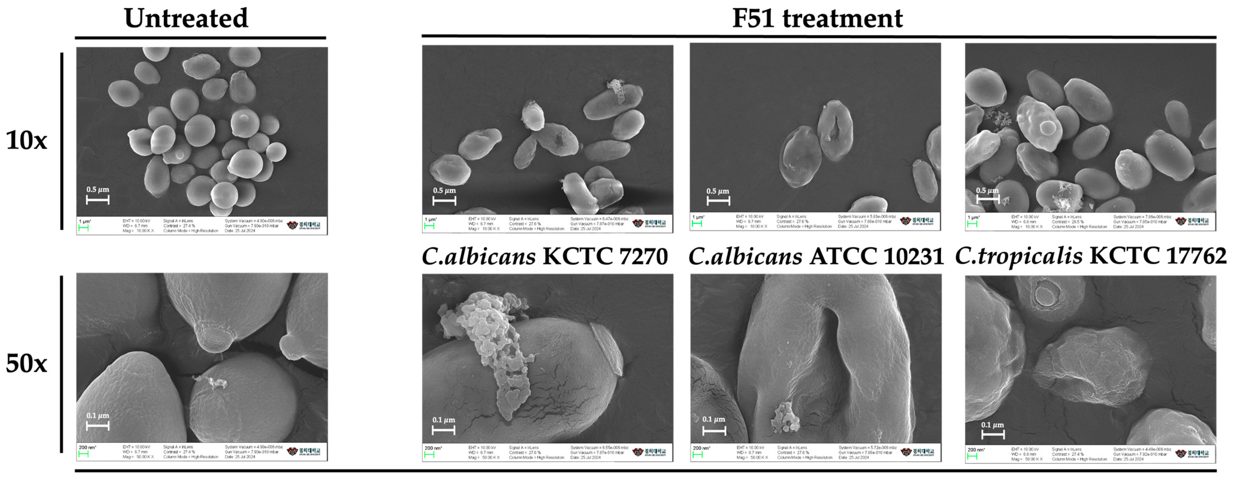 Applsci 15 01647 g003