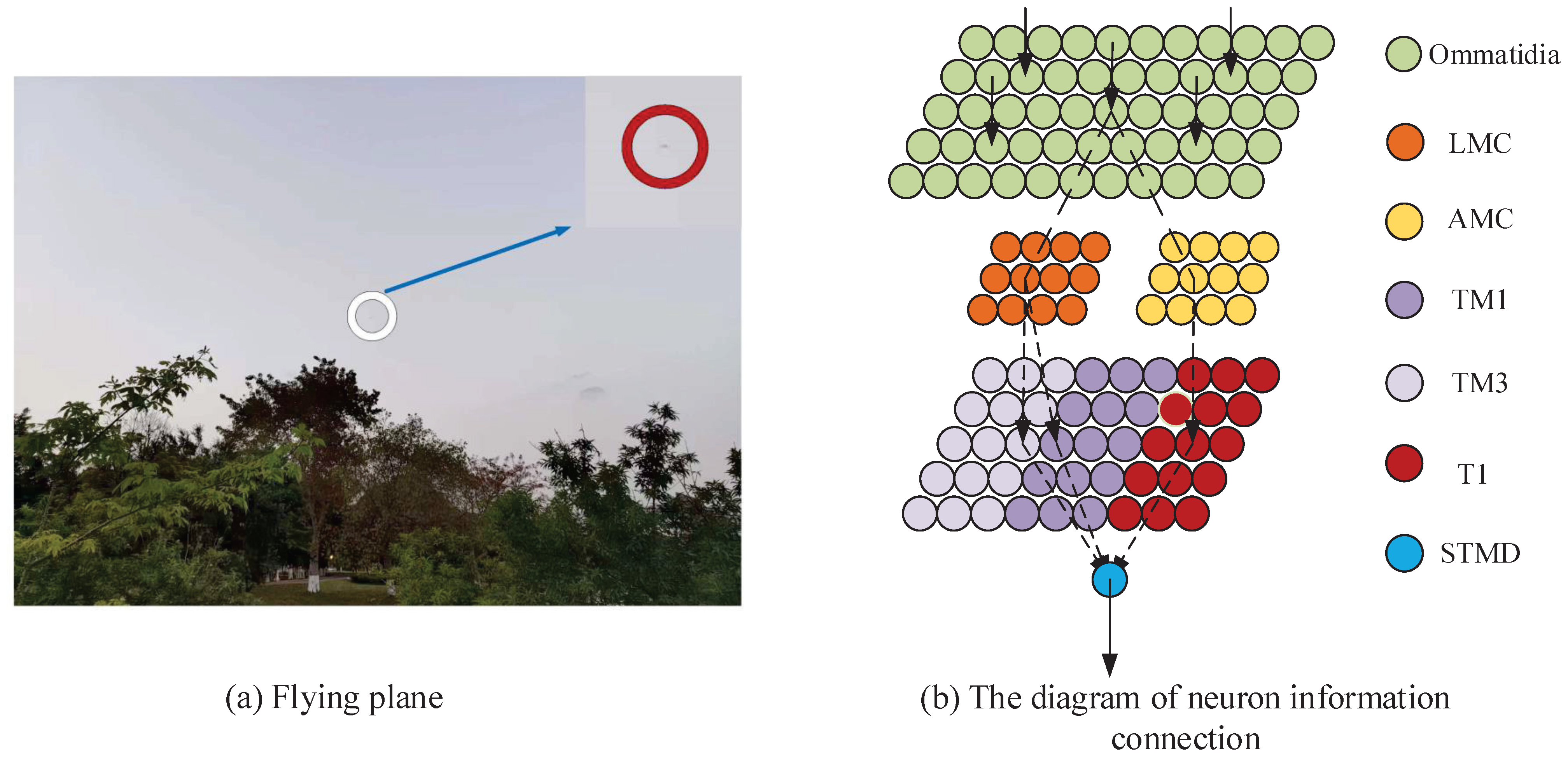 Applsci 15 01649 g001