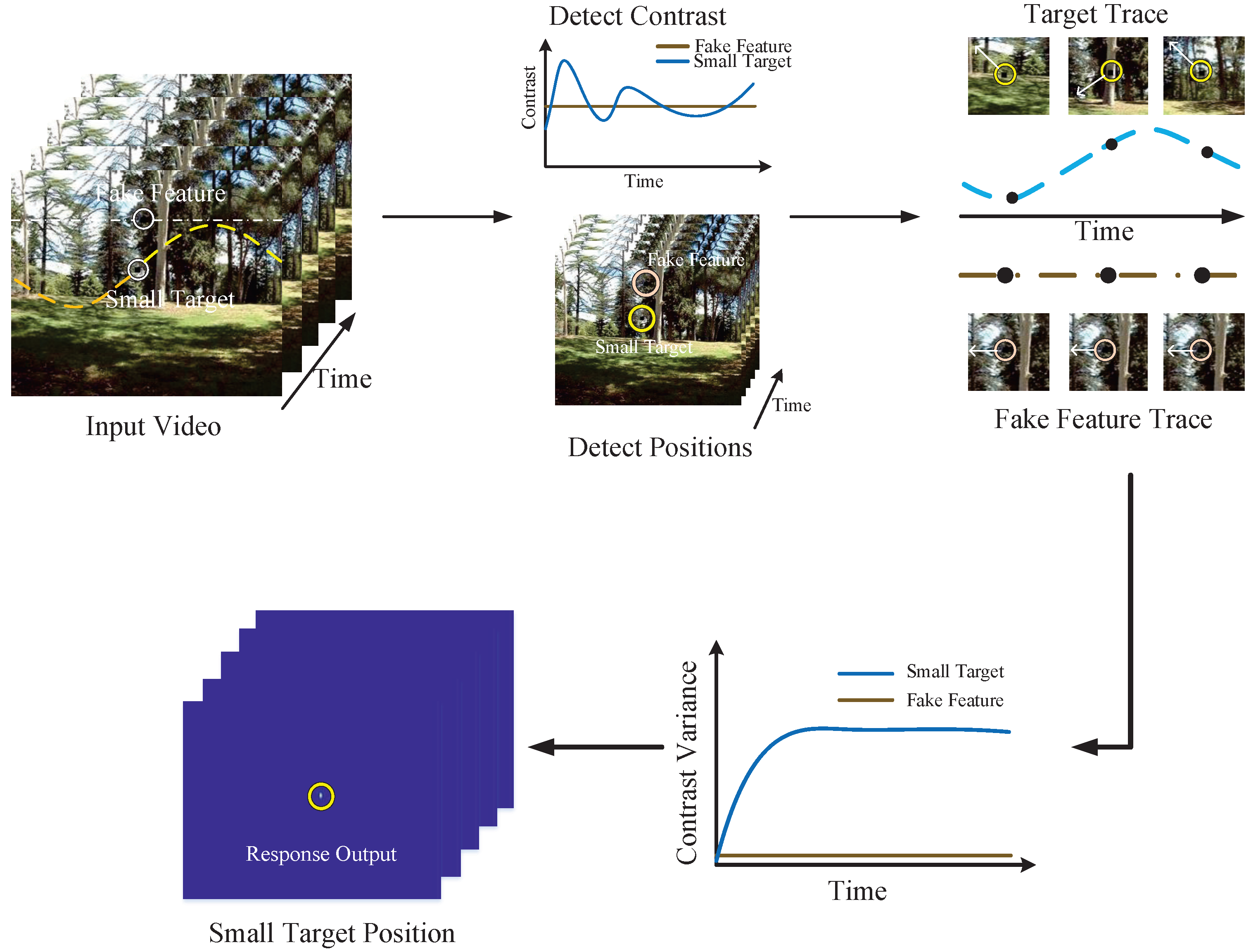 Applsci 15 01649 g003