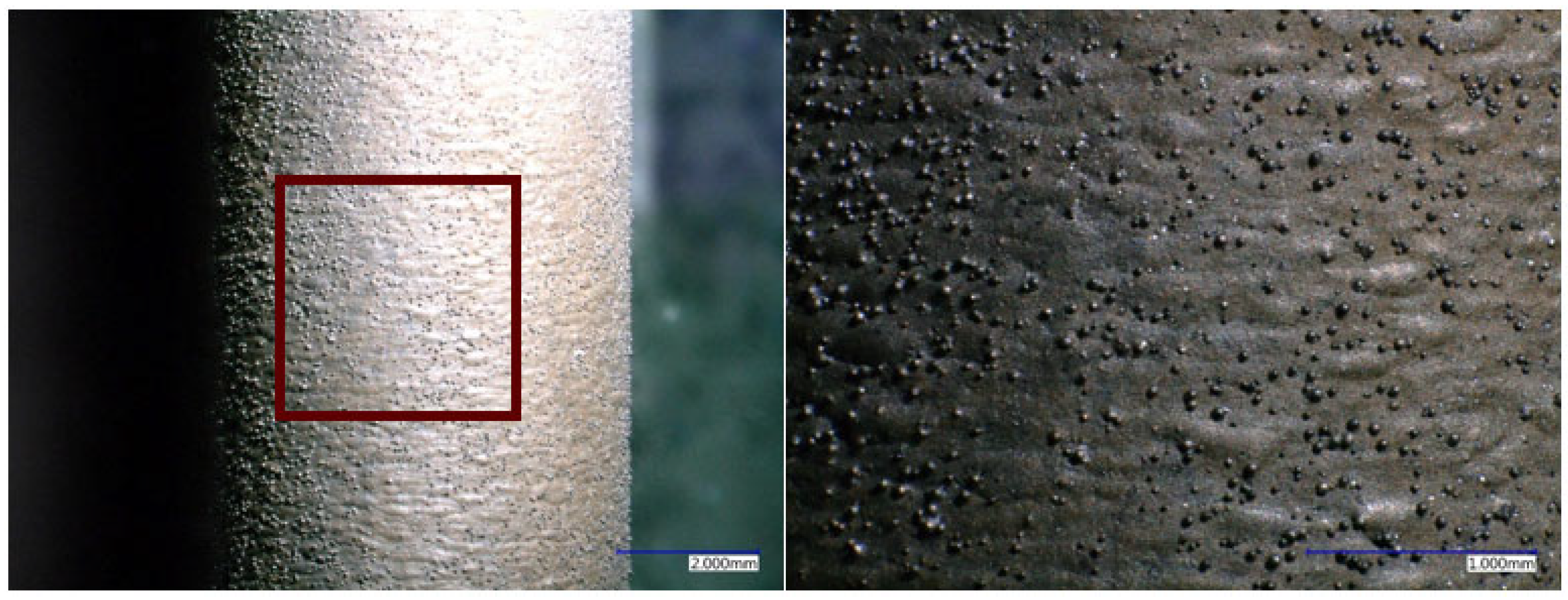 Applsci 15 01653 g005