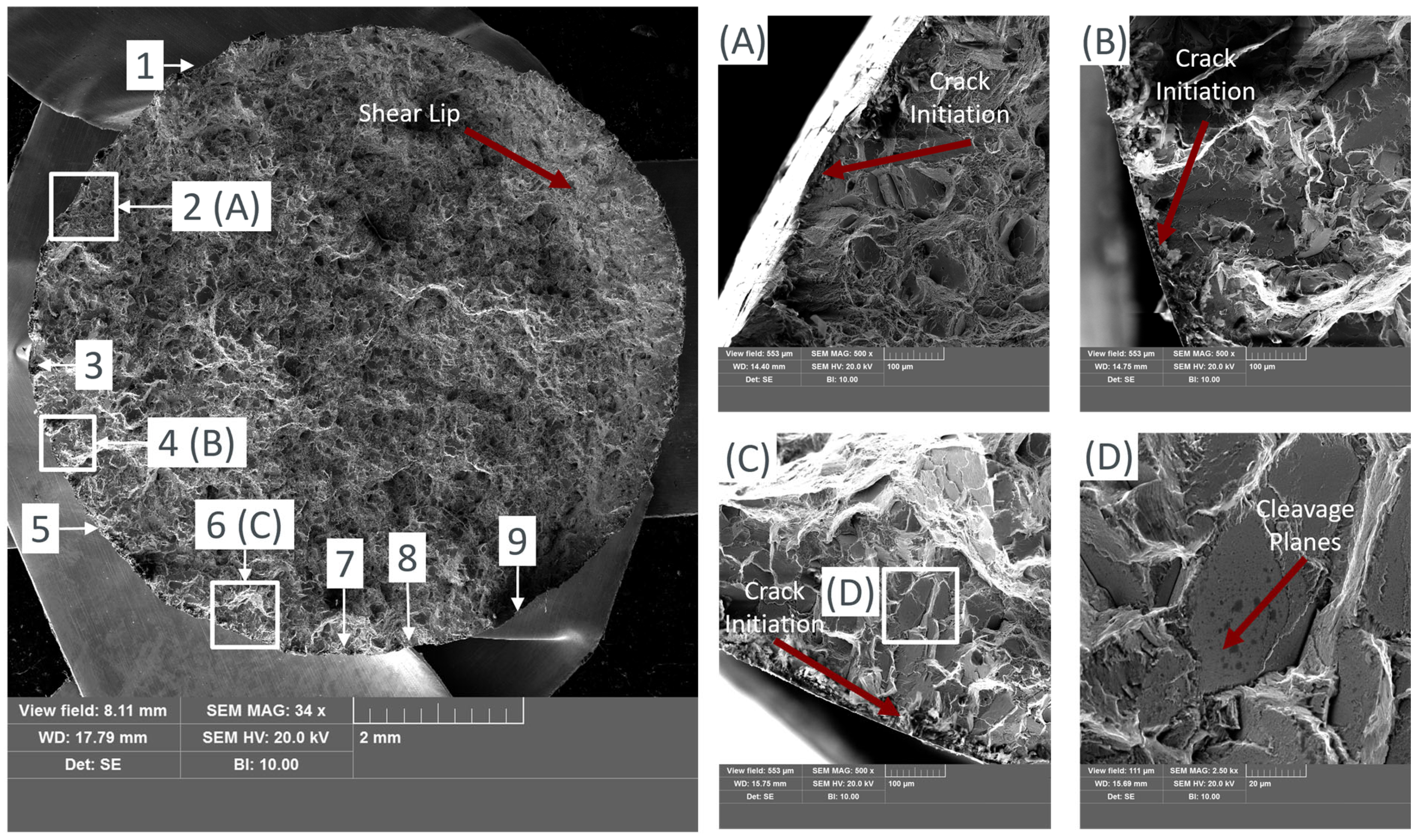 Applsci 15 01653 g008