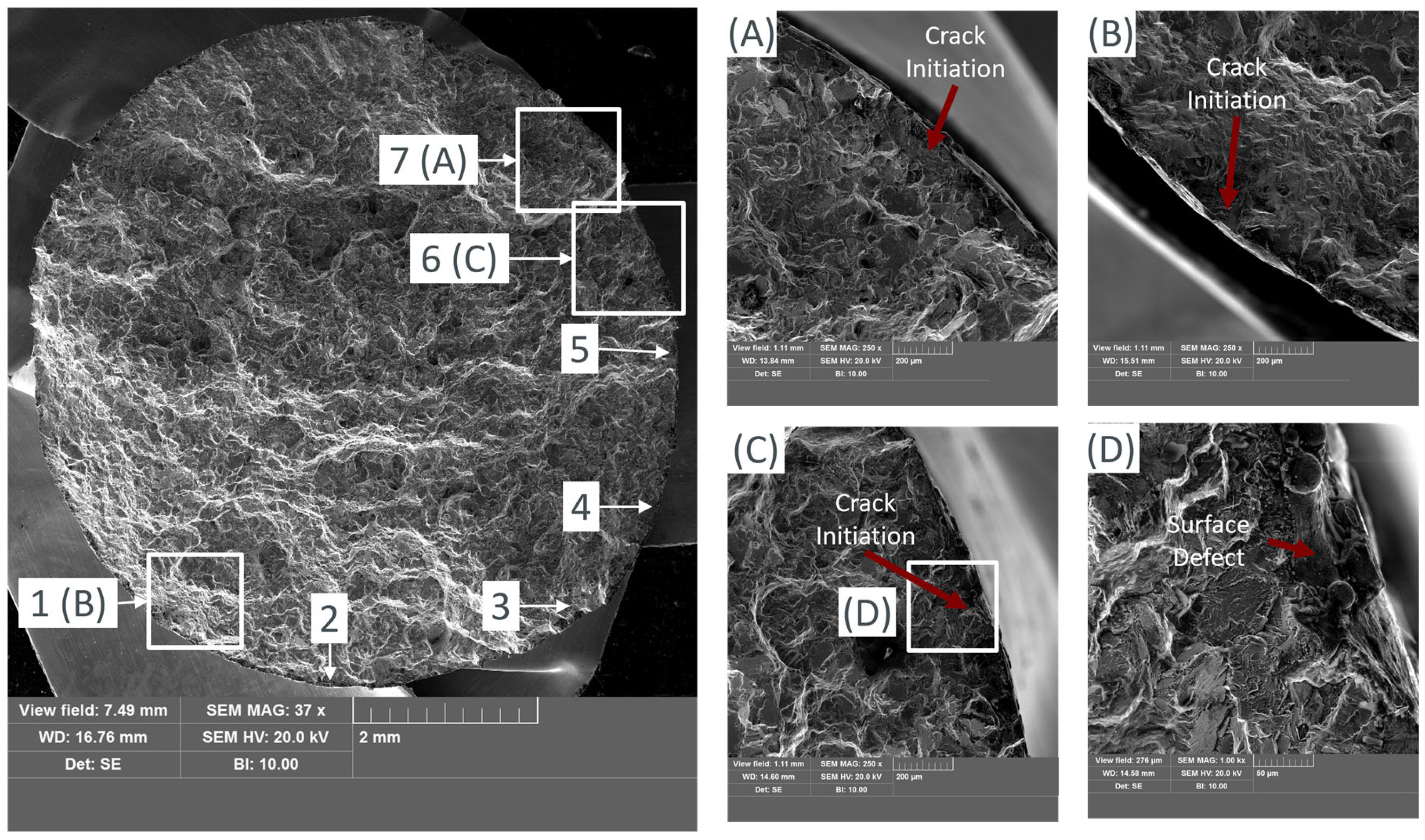Applsci 15 01653 g011