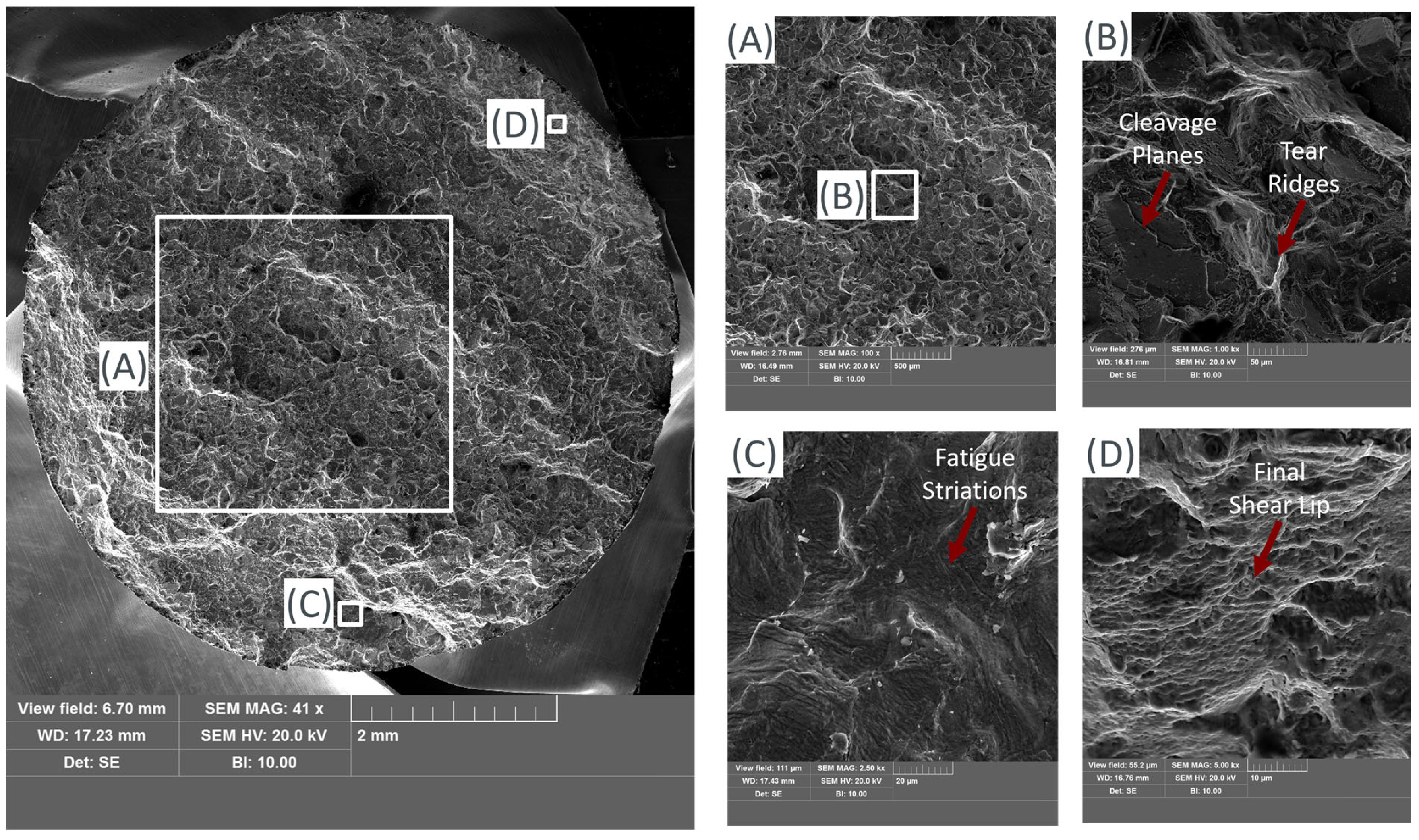 Applsci 15 01653 g018