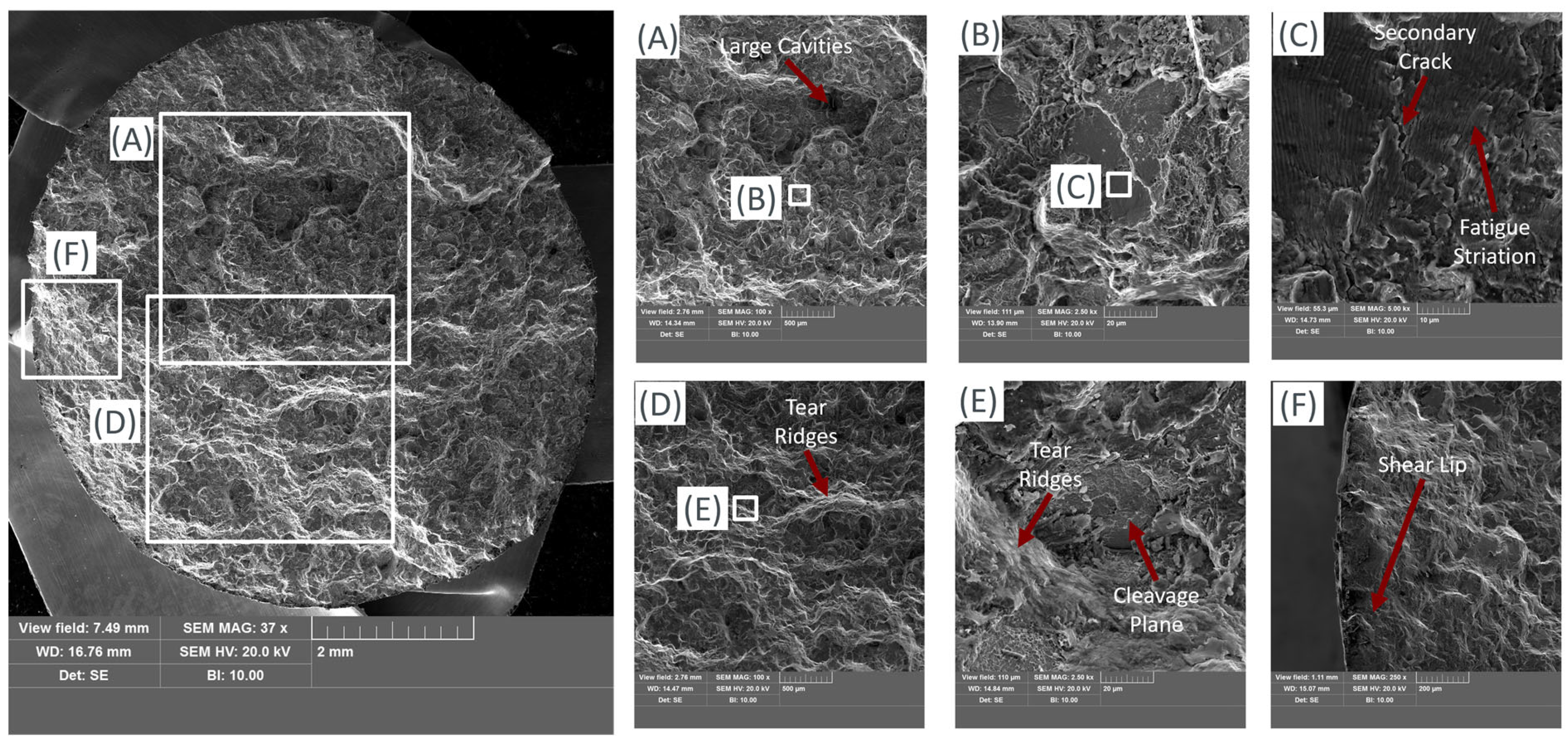 Applsci 15 01653 g019