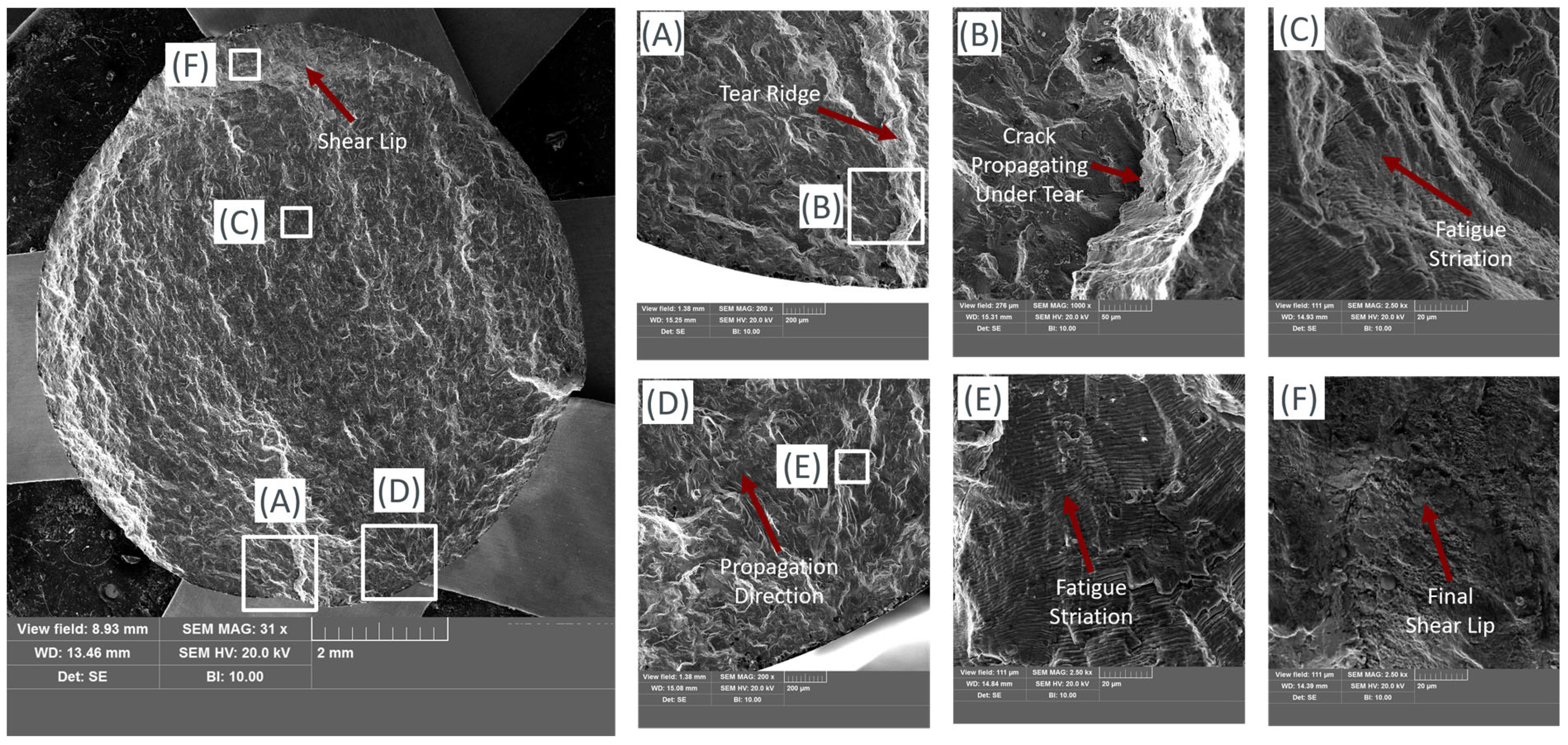 Applsci 15 01653 g021