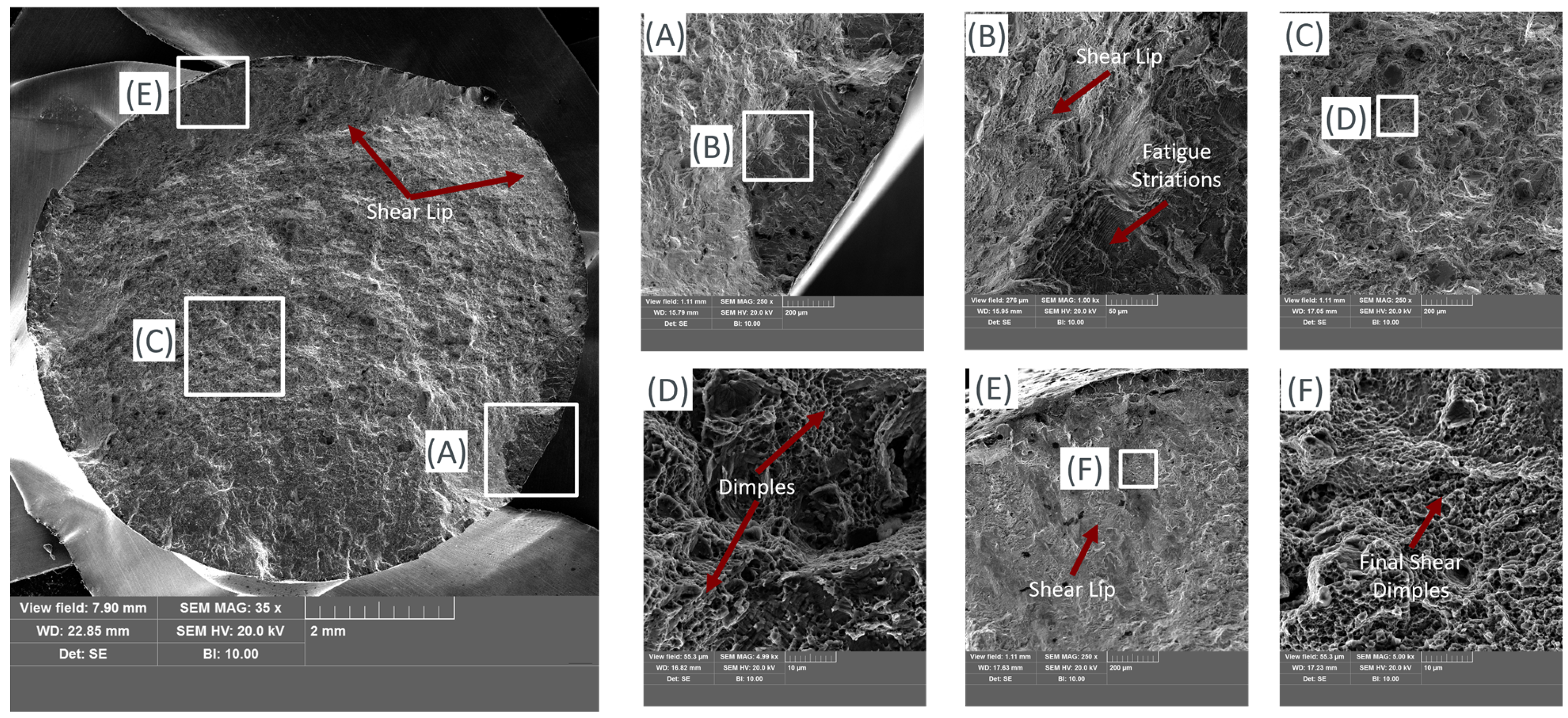 Applsci 15 01653 g022