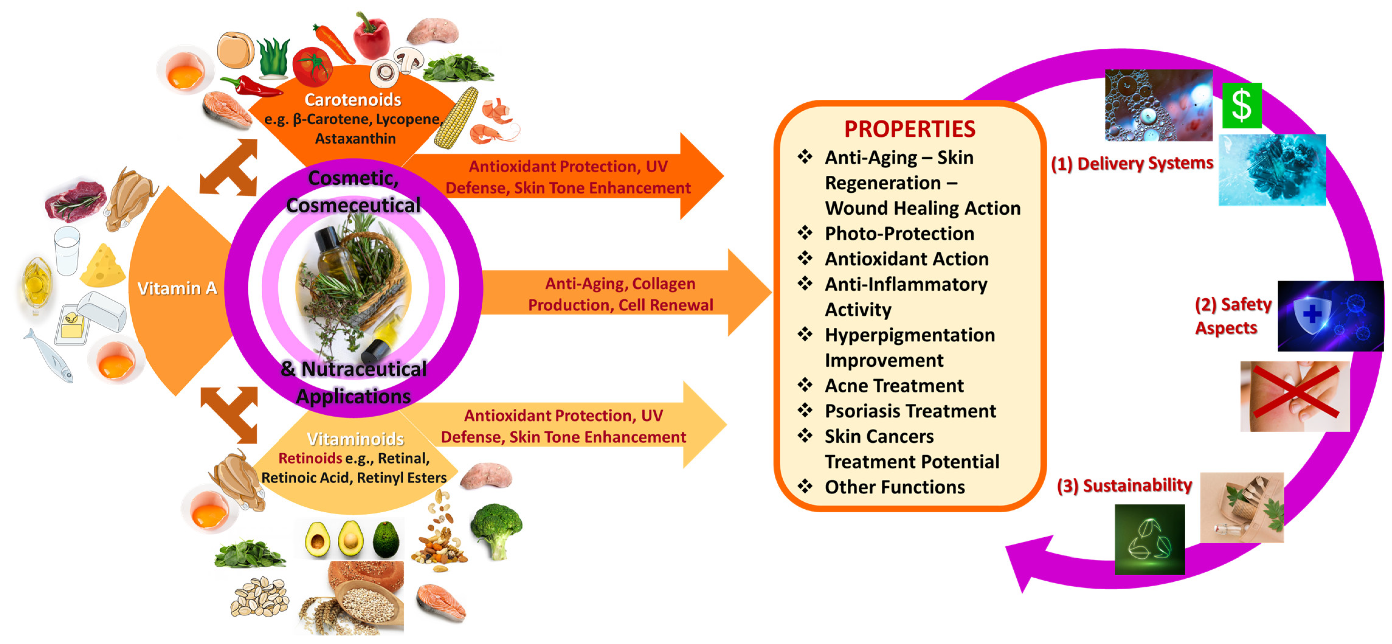 Applsci 15 01657 g001 Applsci 15 01657 g001