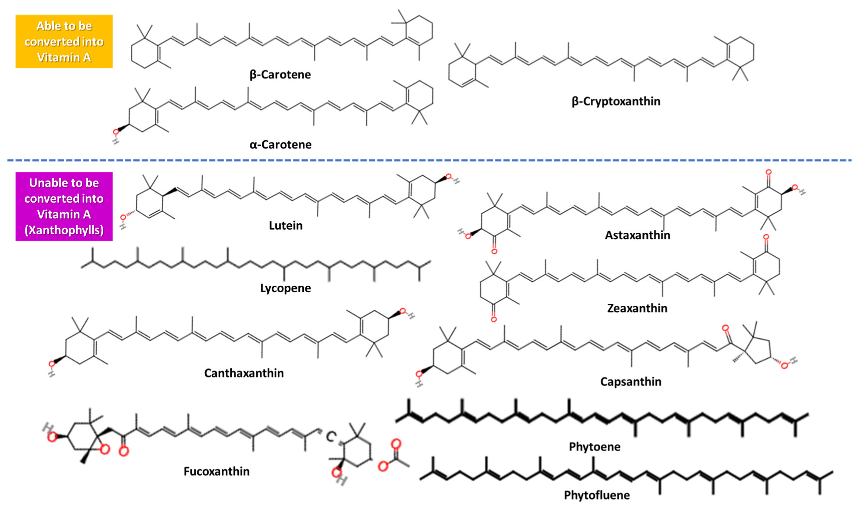 Applsci 15 01657 g003 Applsci 15 01657 g003