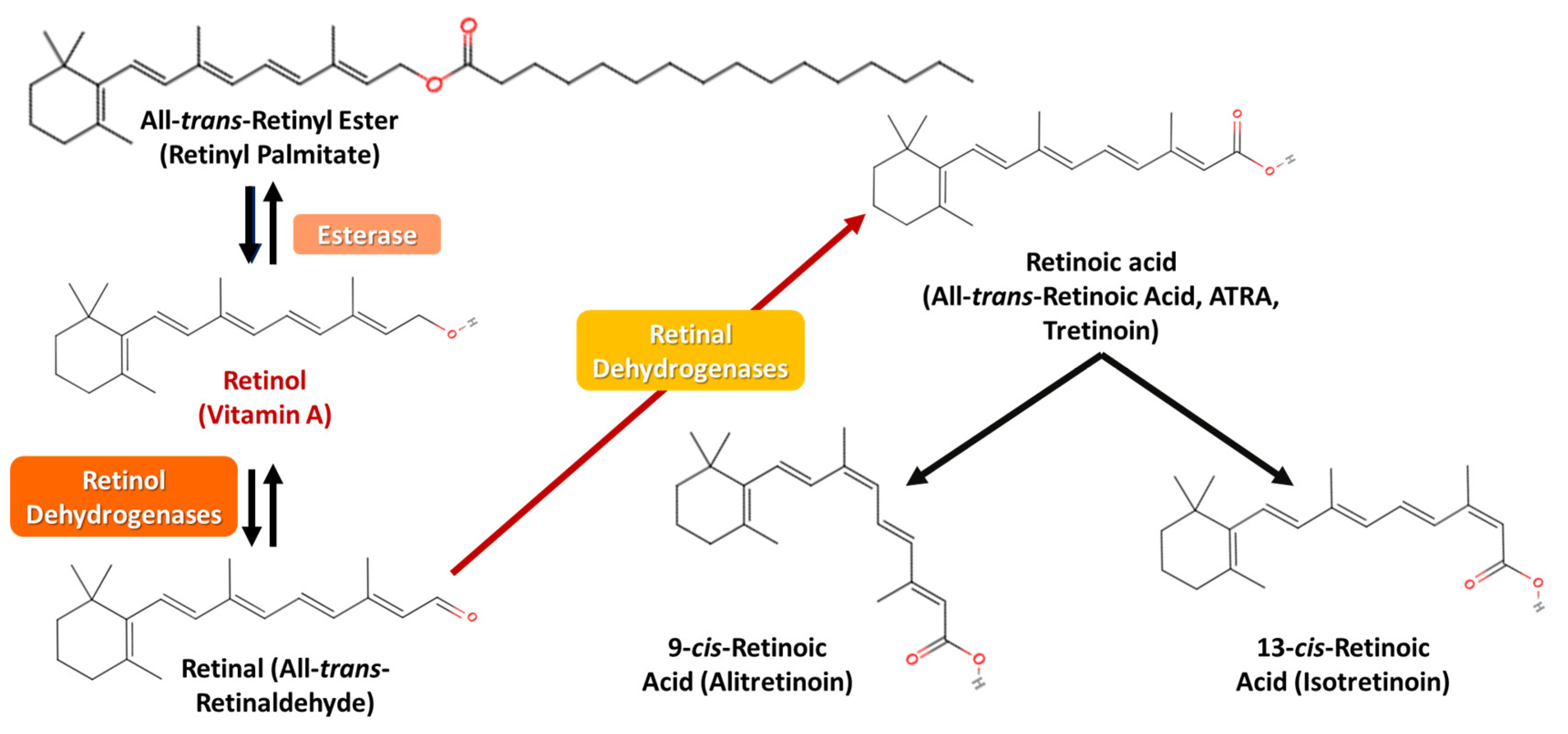 Applsci 15 01657 g005 Applsci 15 01657 g005