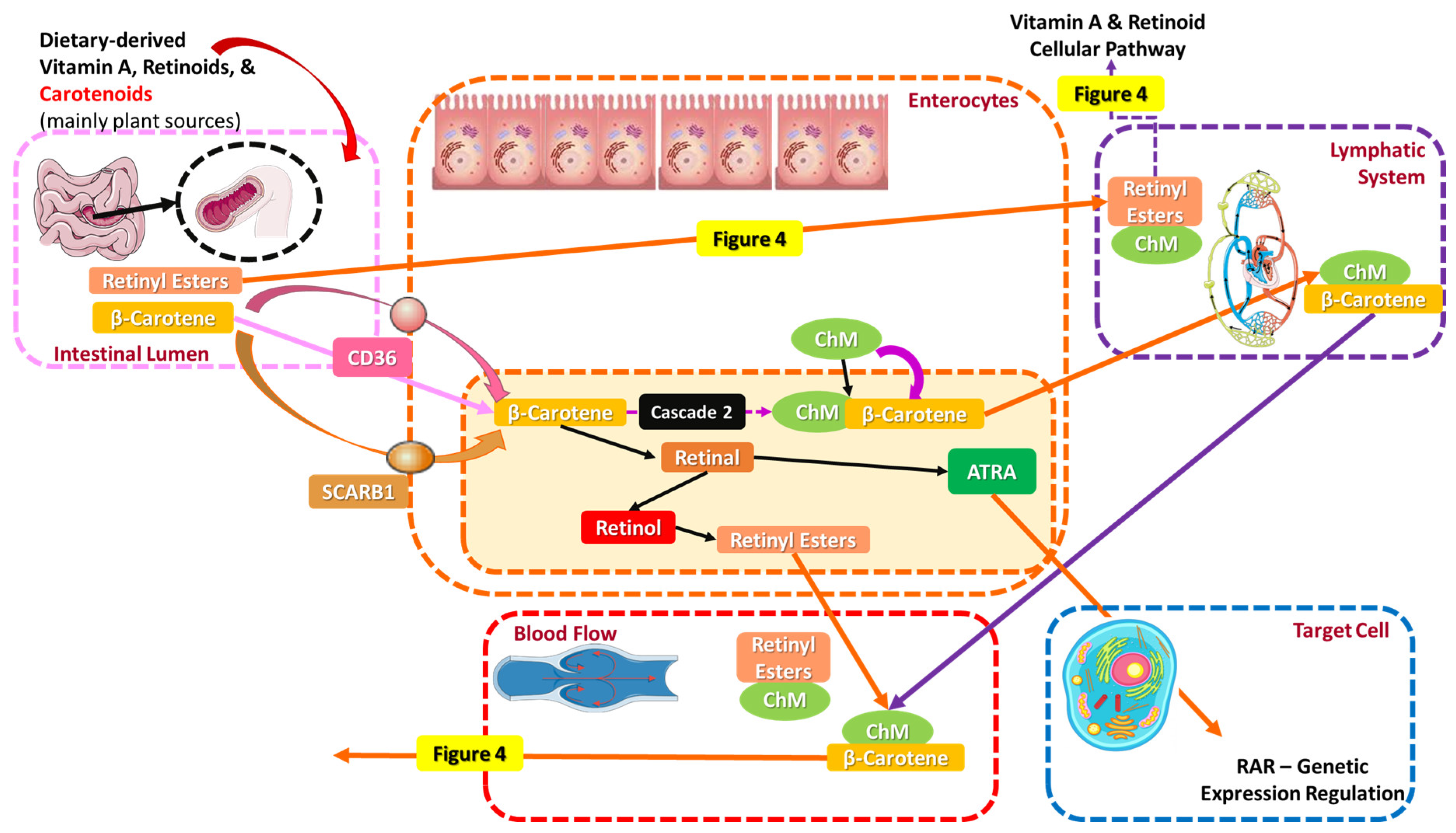 Applsci 15 01657 g006 Applsci 15 01657 g006