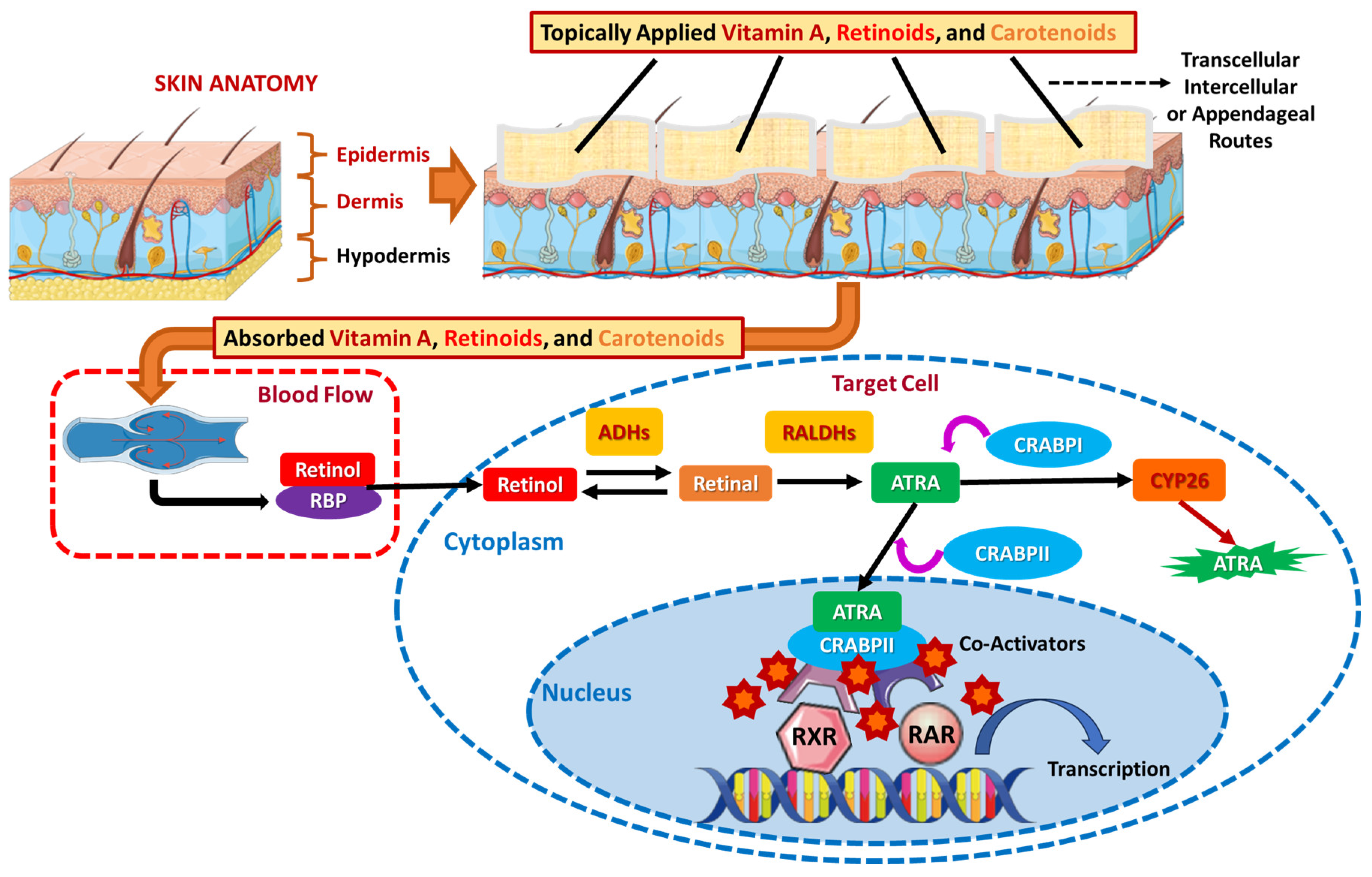 Applsci 15 01657 g008 Applsci 15 01657 g008