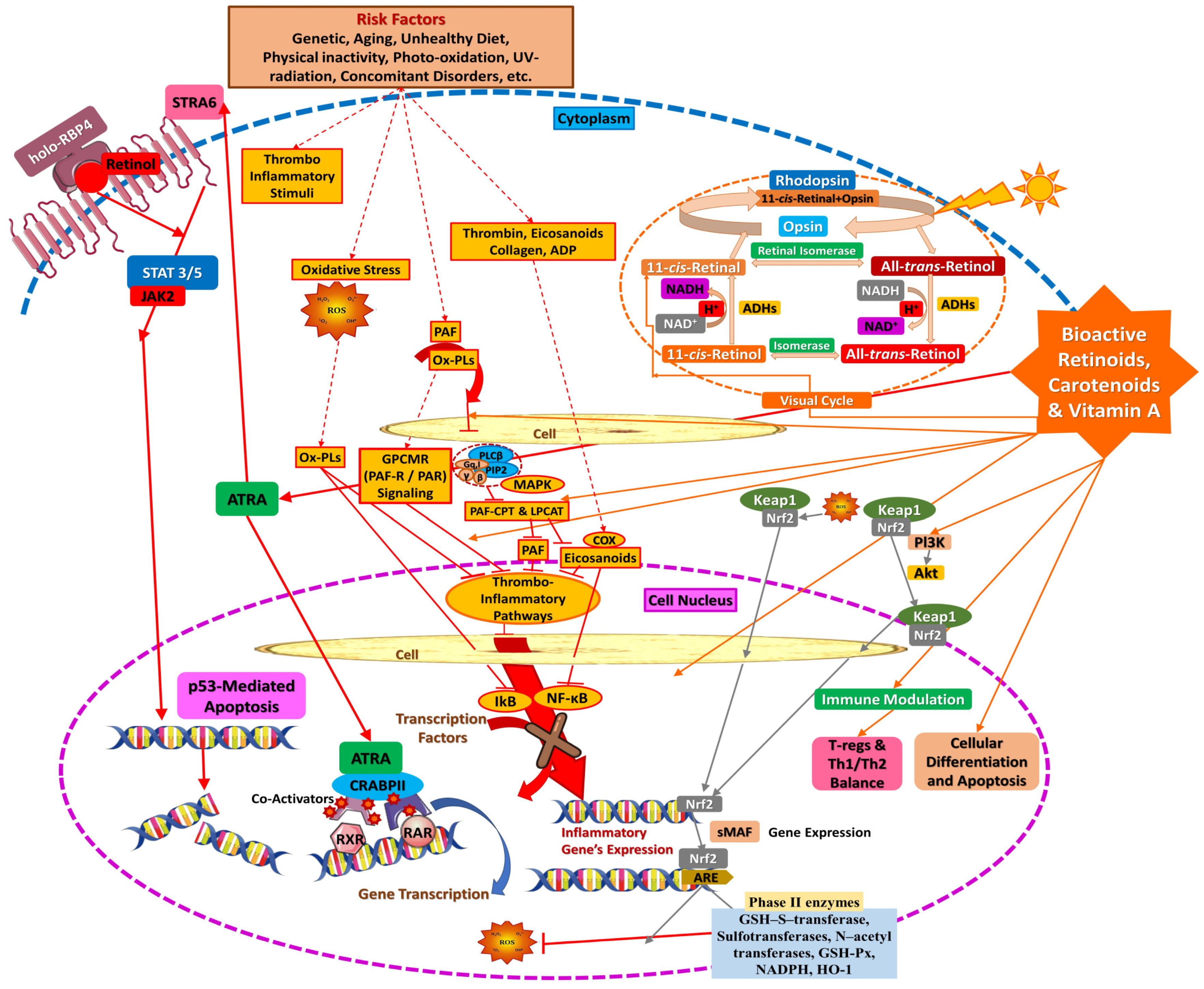 Applsci 15 01657 g009 Applsci 15 01657 g009