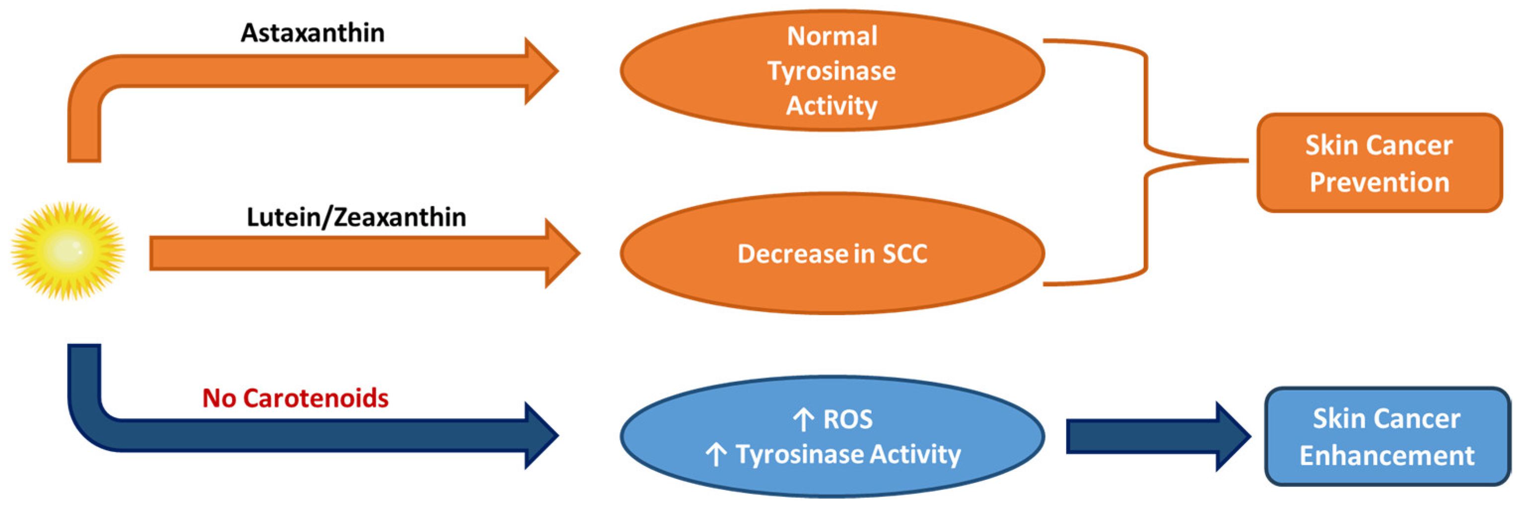 Applsci 15 01657 g011 Applsci 15 01657 g011