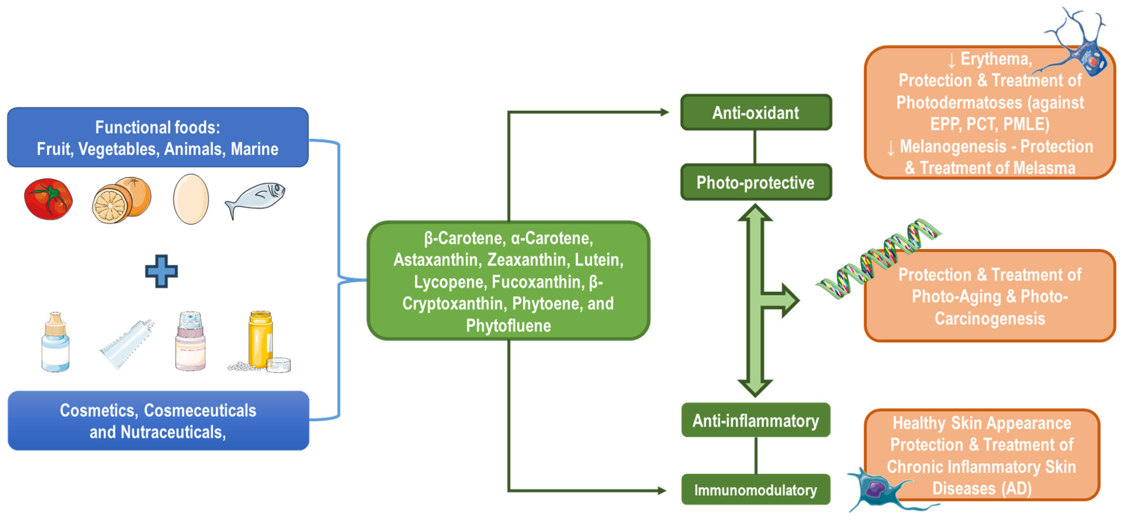 Applsci 15 01657 g012 Applsci 15 01657 g012