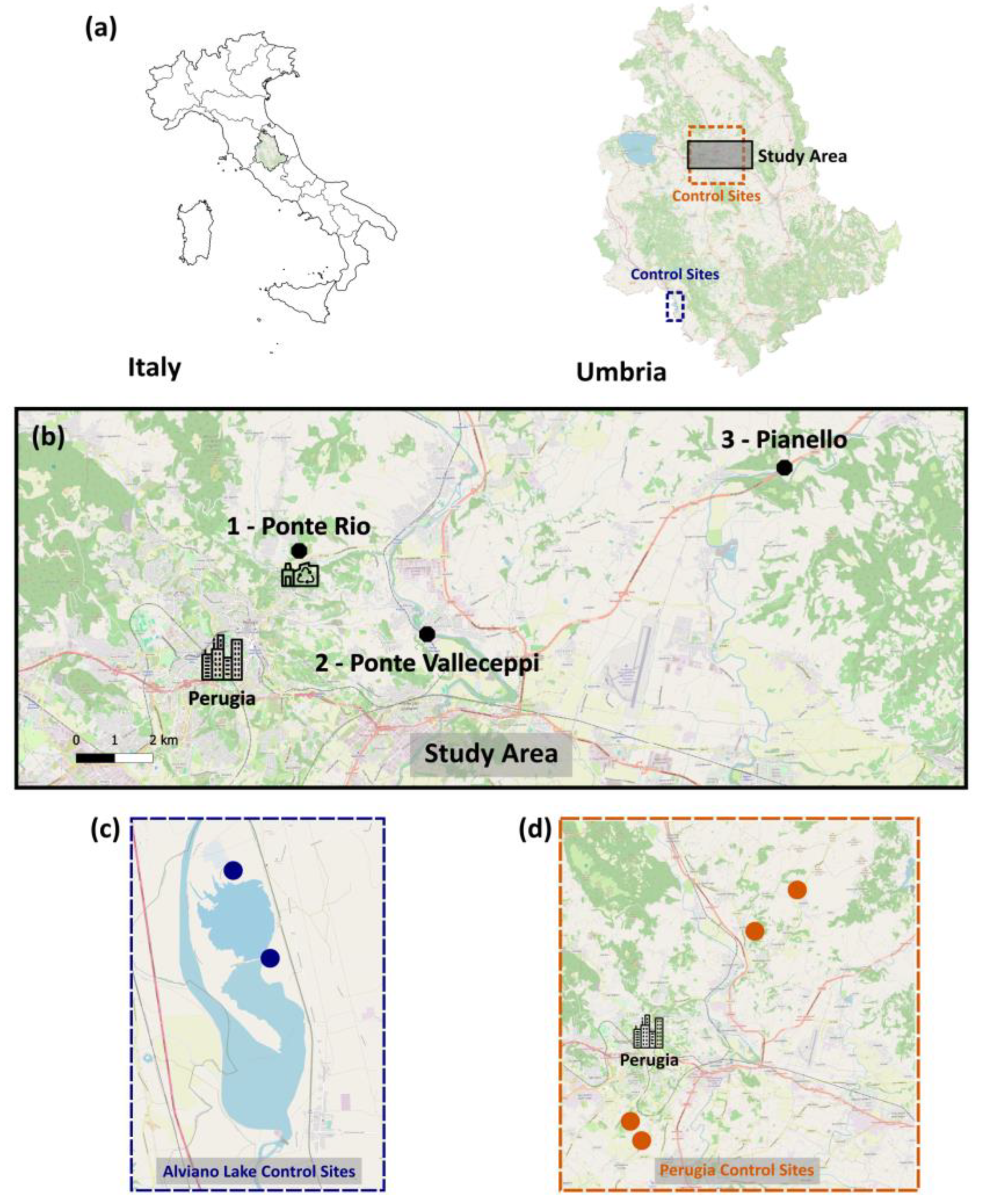 Applsci 15 01658 g001