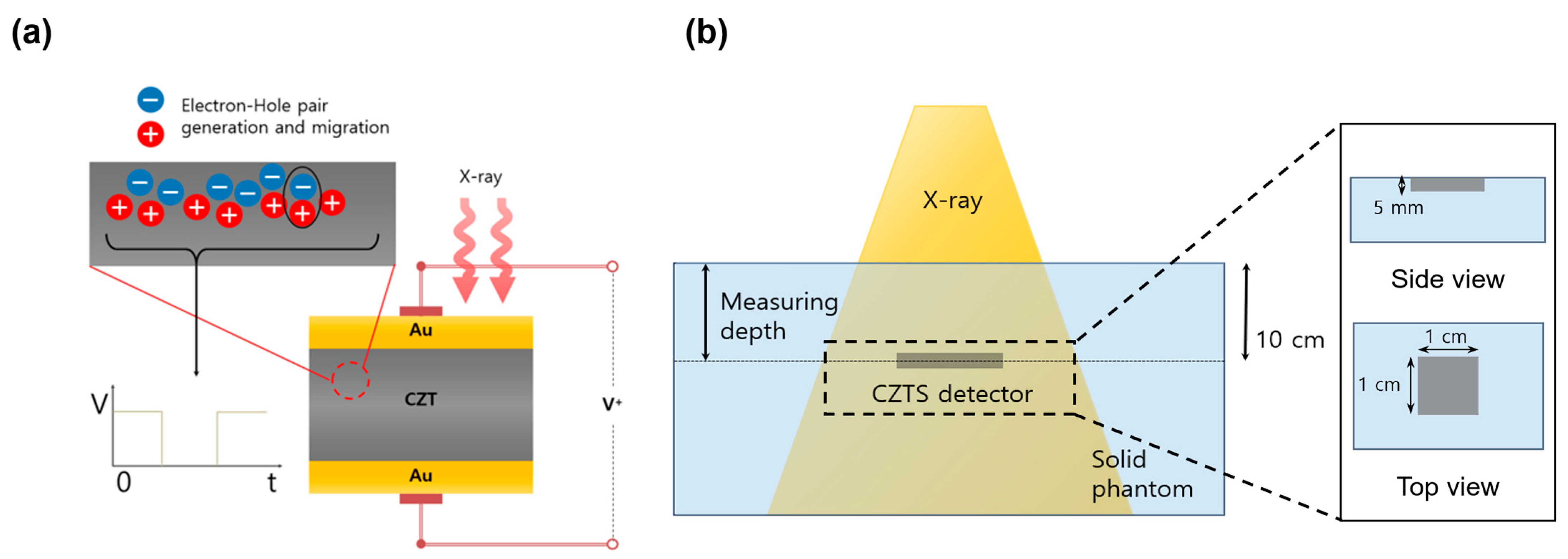 Applsci 15 01693 g001