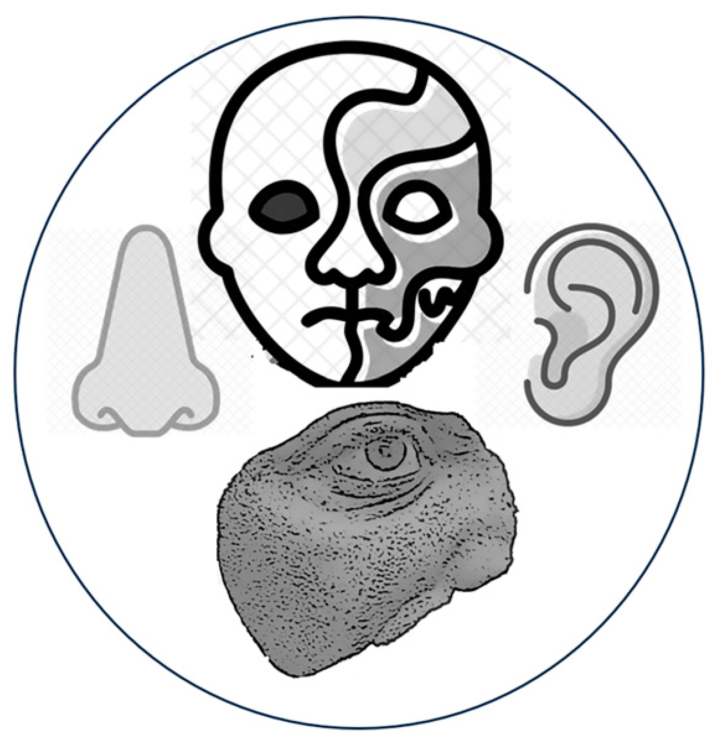 Applsci 15 01701 i001