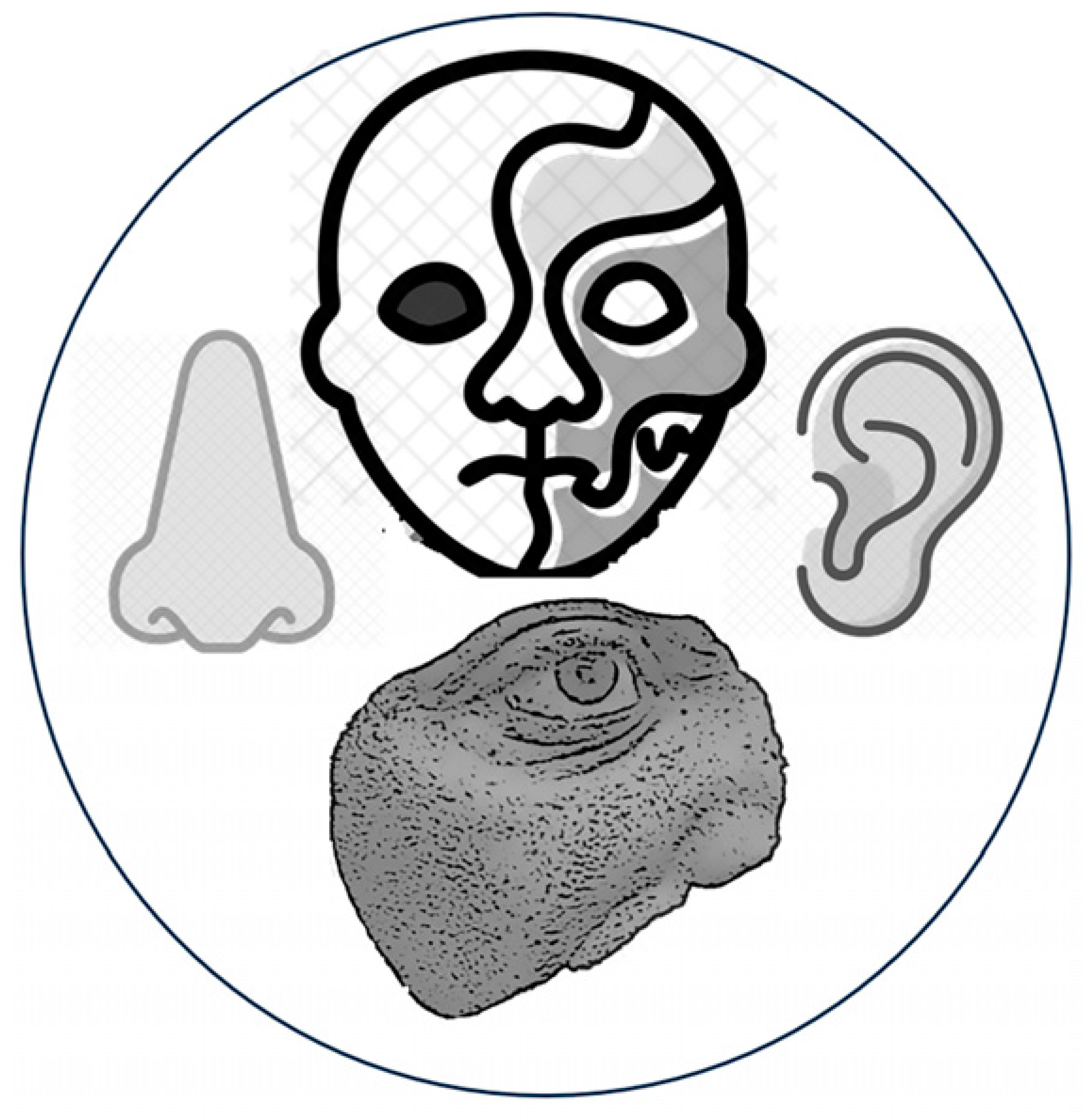 Applsci 15 01701 i003