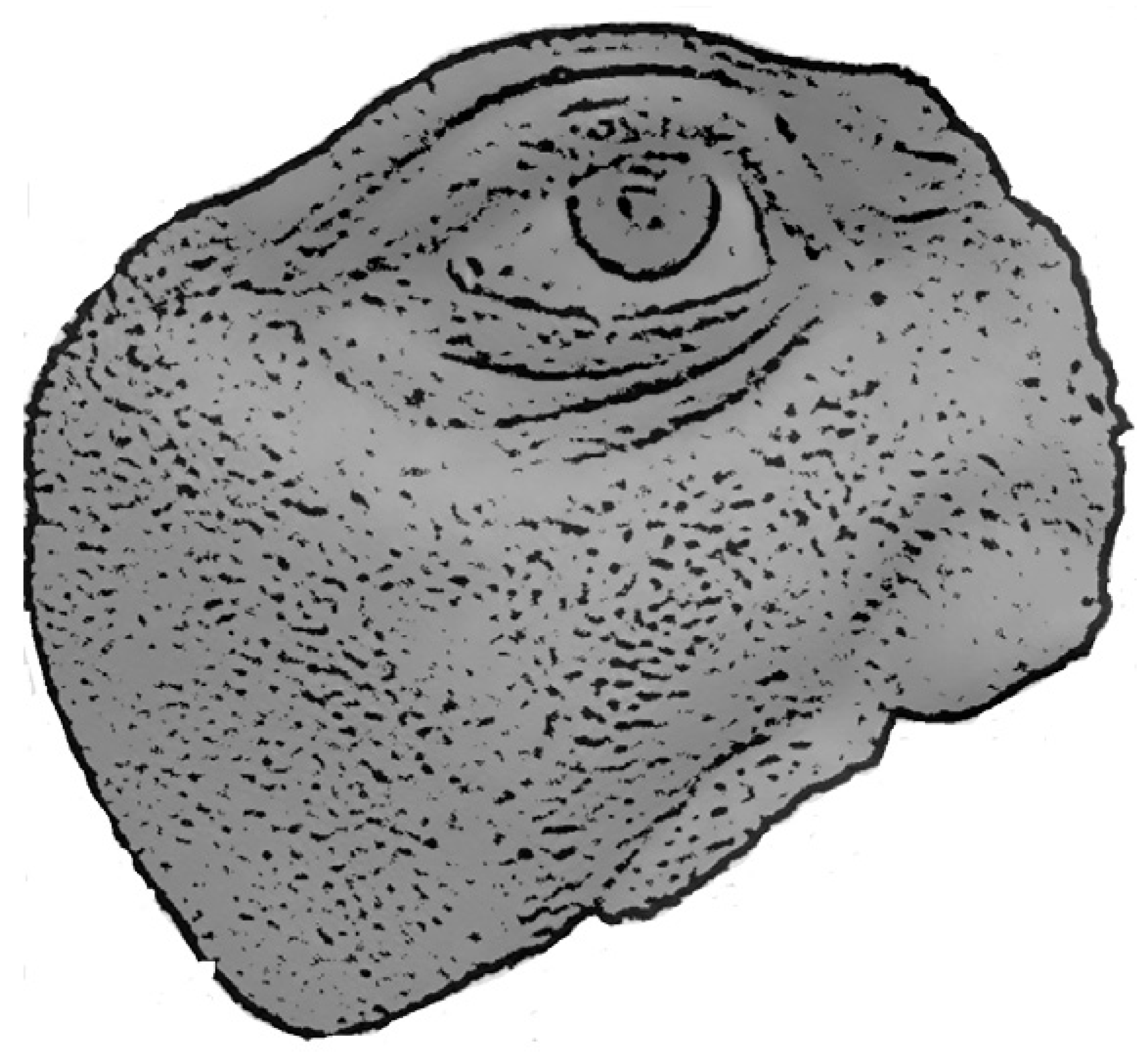 Applsci 15 01701 i004