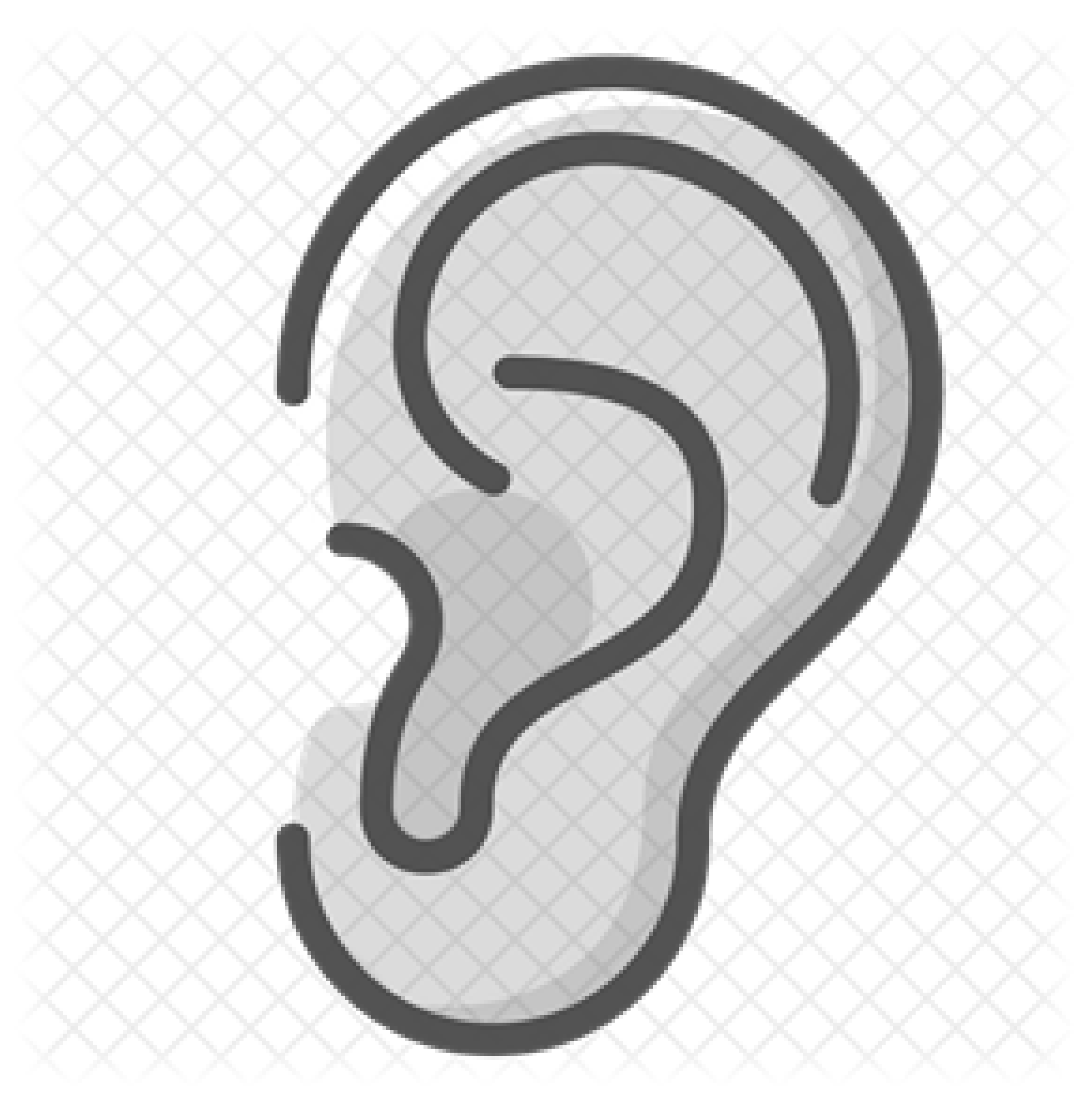 Applsci 15 01701 i005