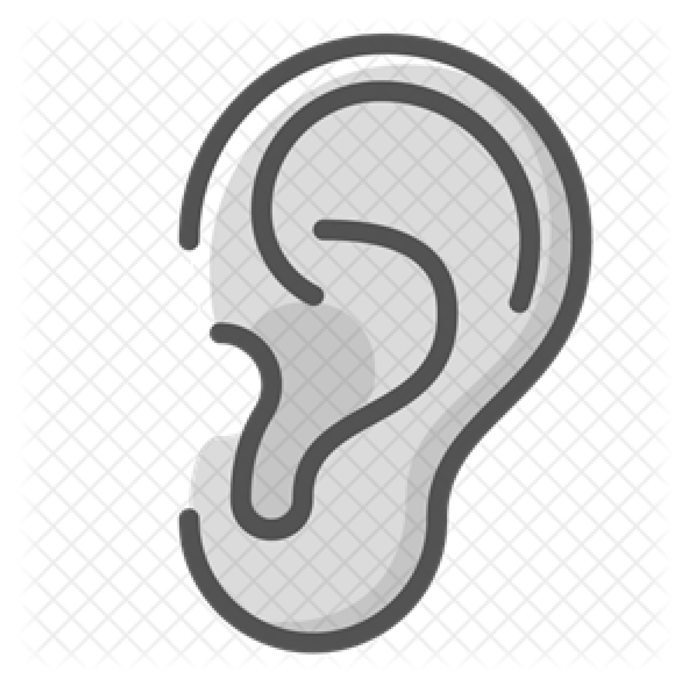 Applsci 15 01701 i006