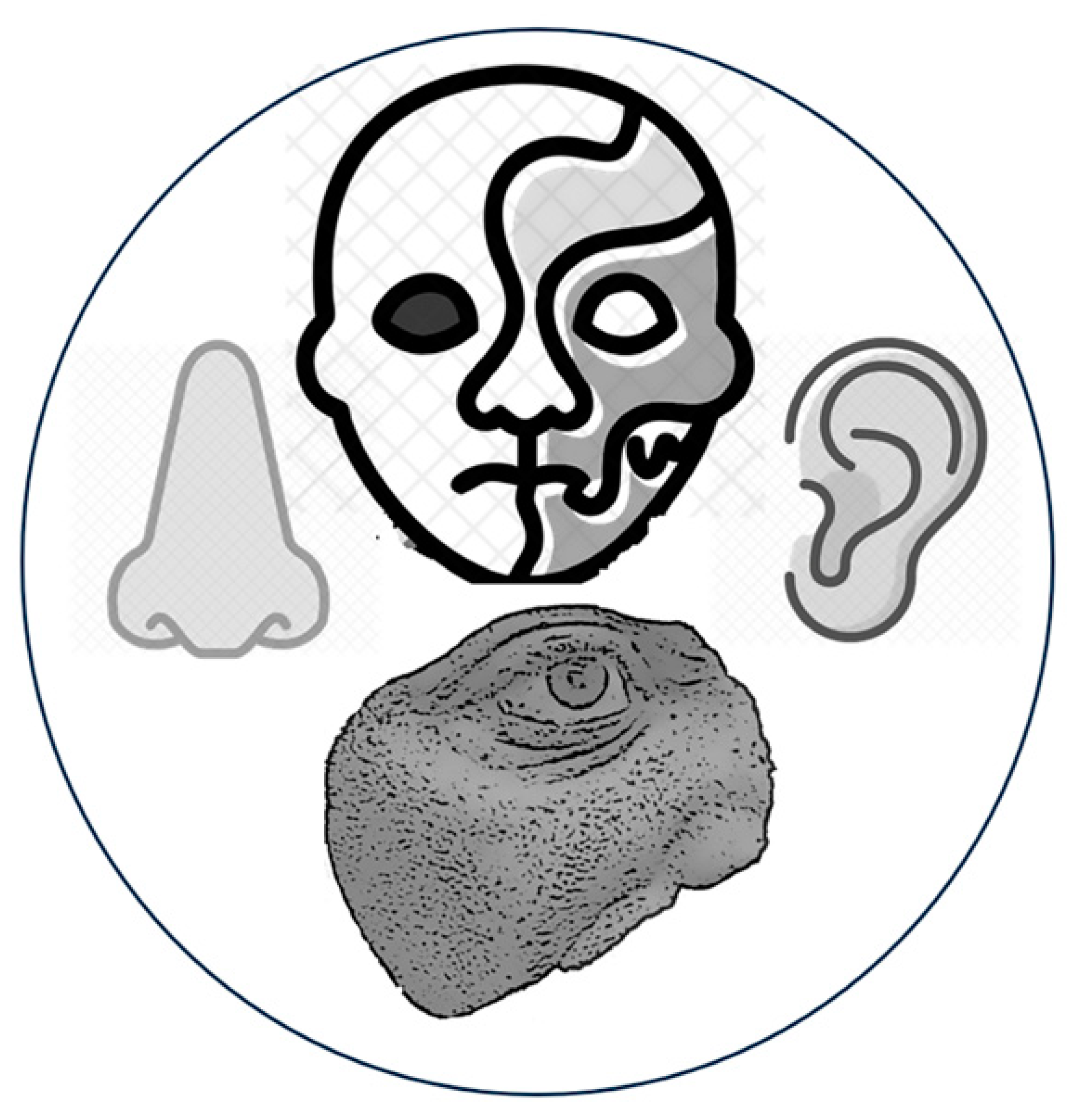 Applsci 15 01701 i009