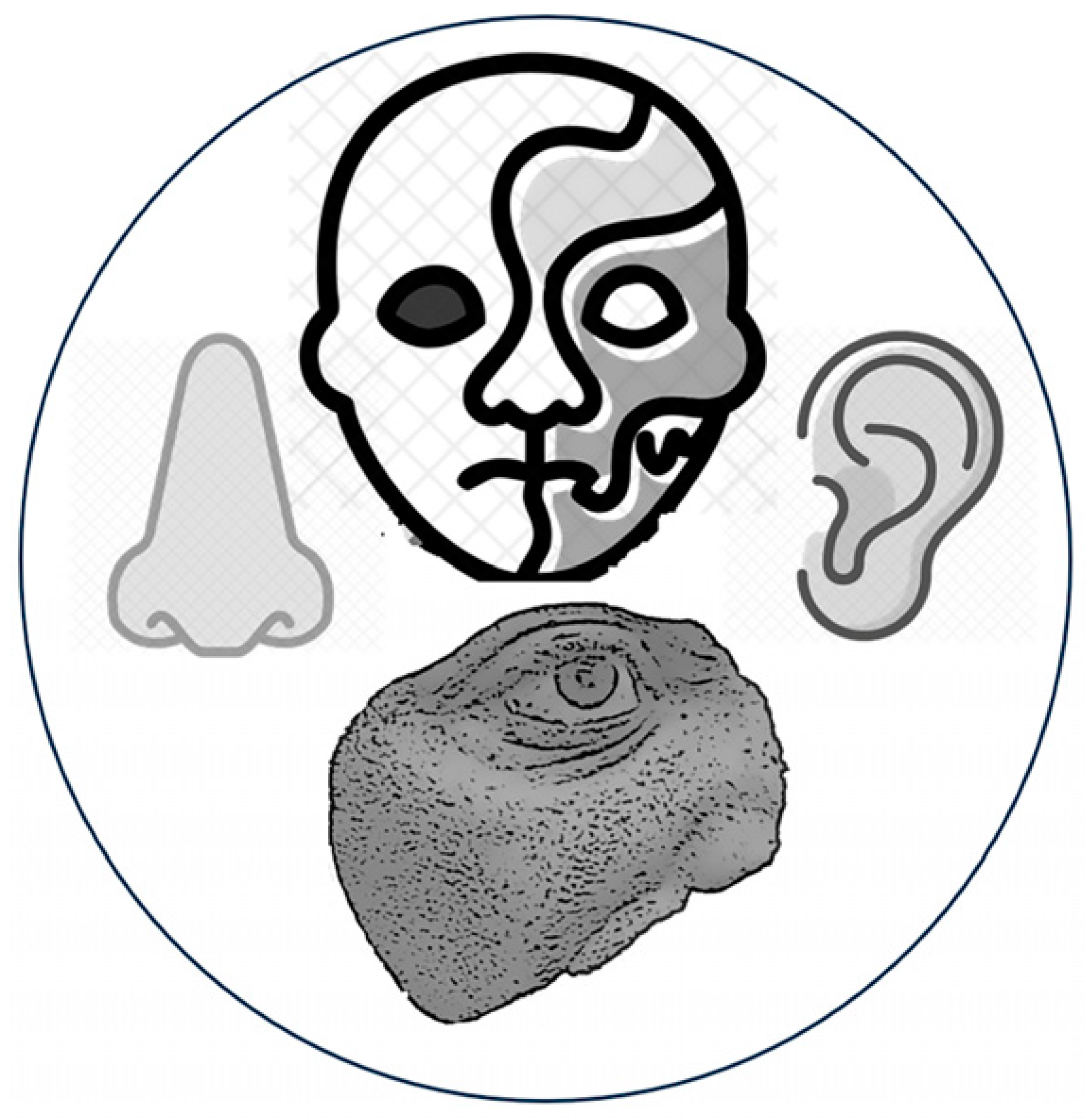 Applsci 15 01701 i010