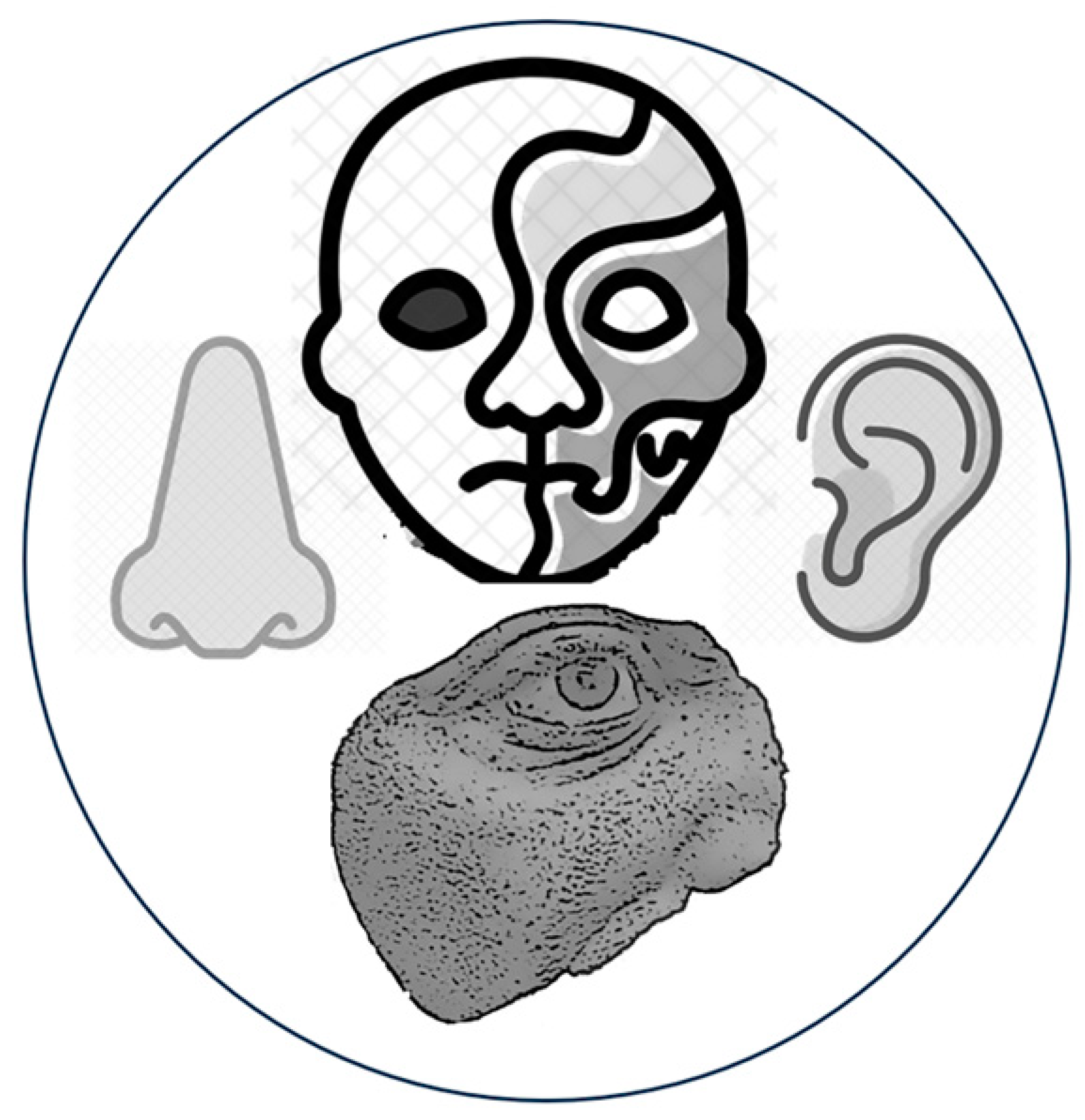 Applsci 15 01701 i011