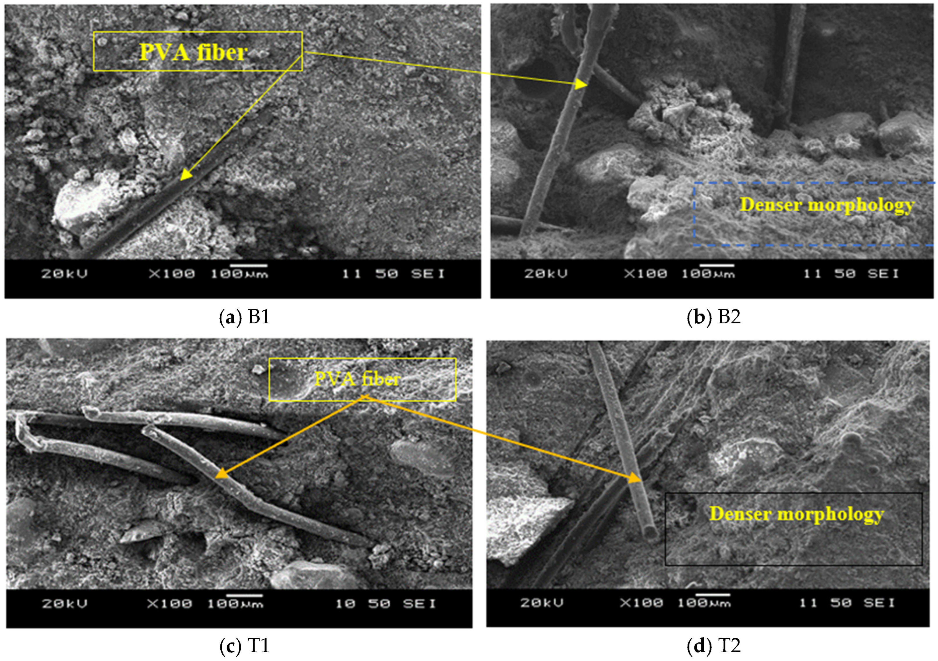 Applsci 15 01712 g014