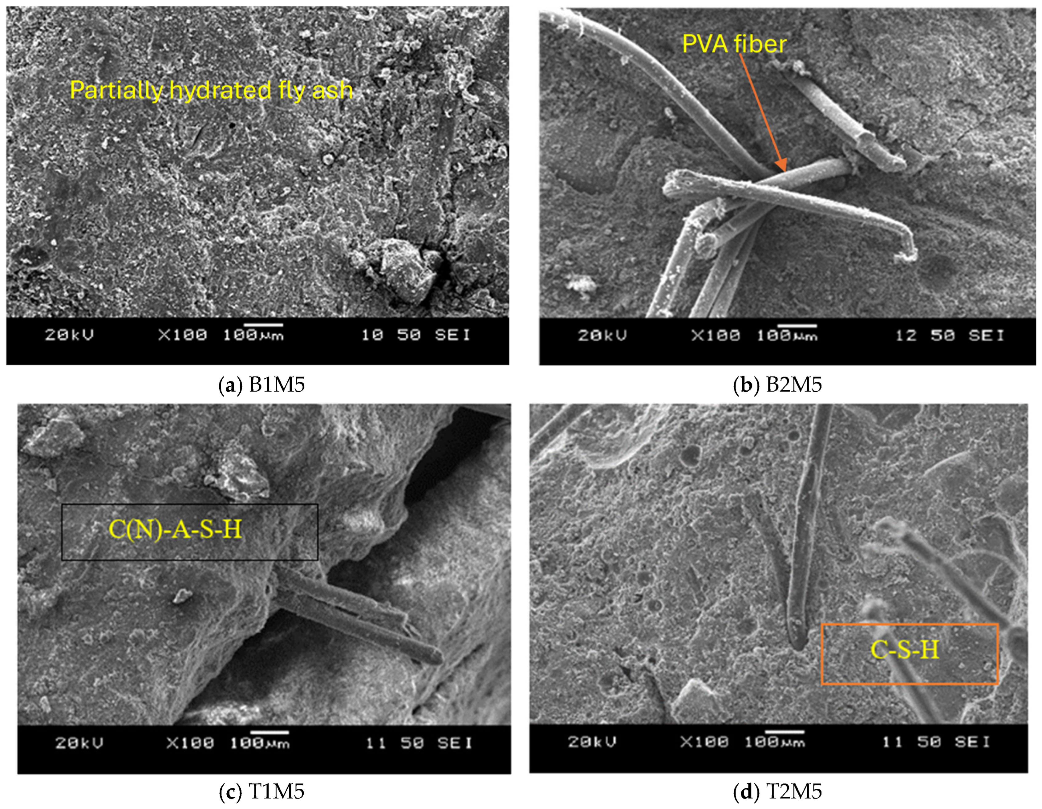 Applsci 15 01712 g015a