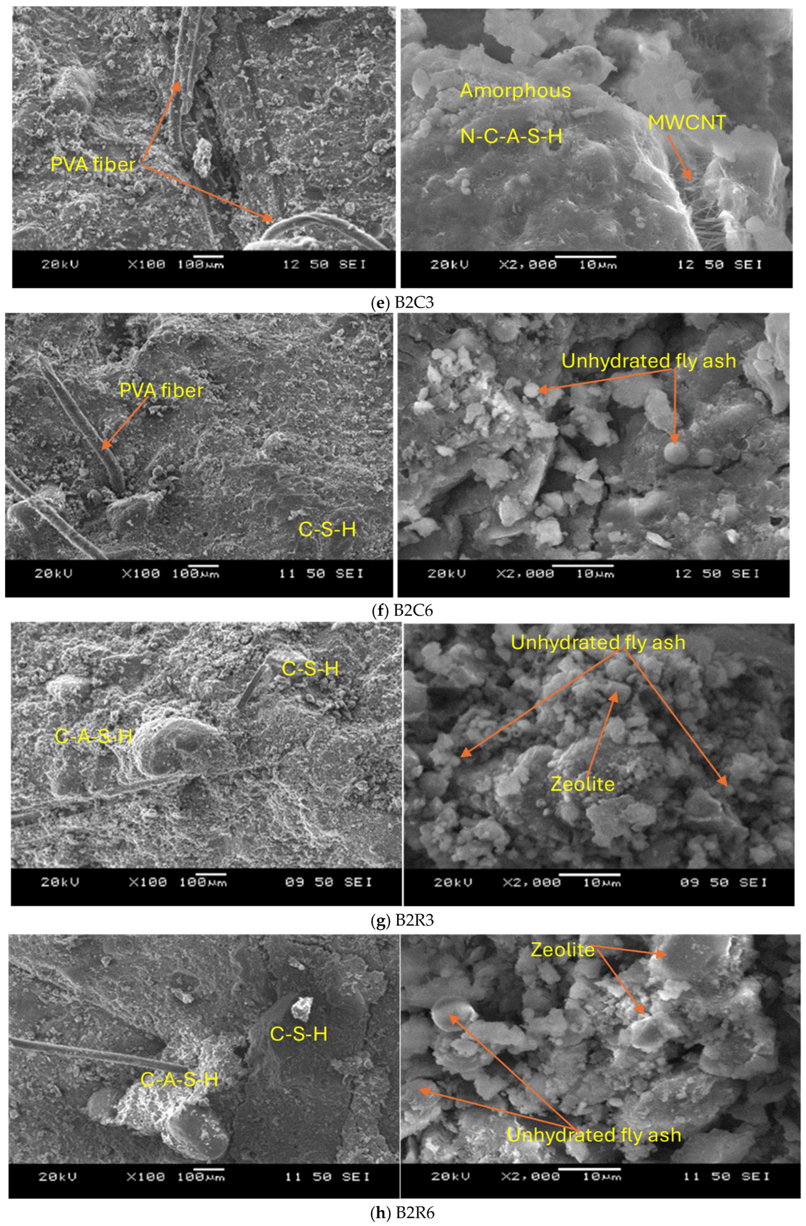 Applsci 15 01712 g015b