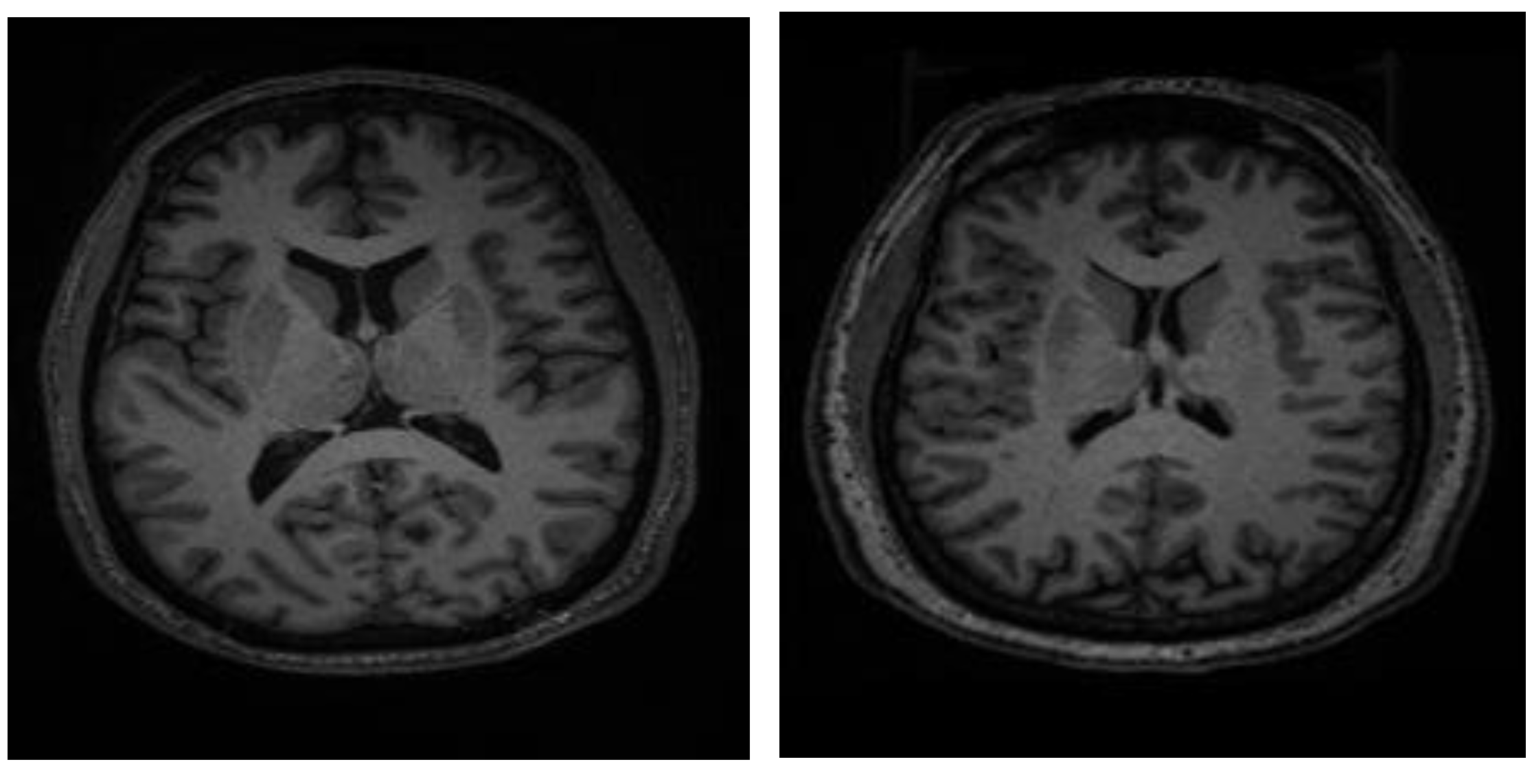 Applsci 15 01717 g001