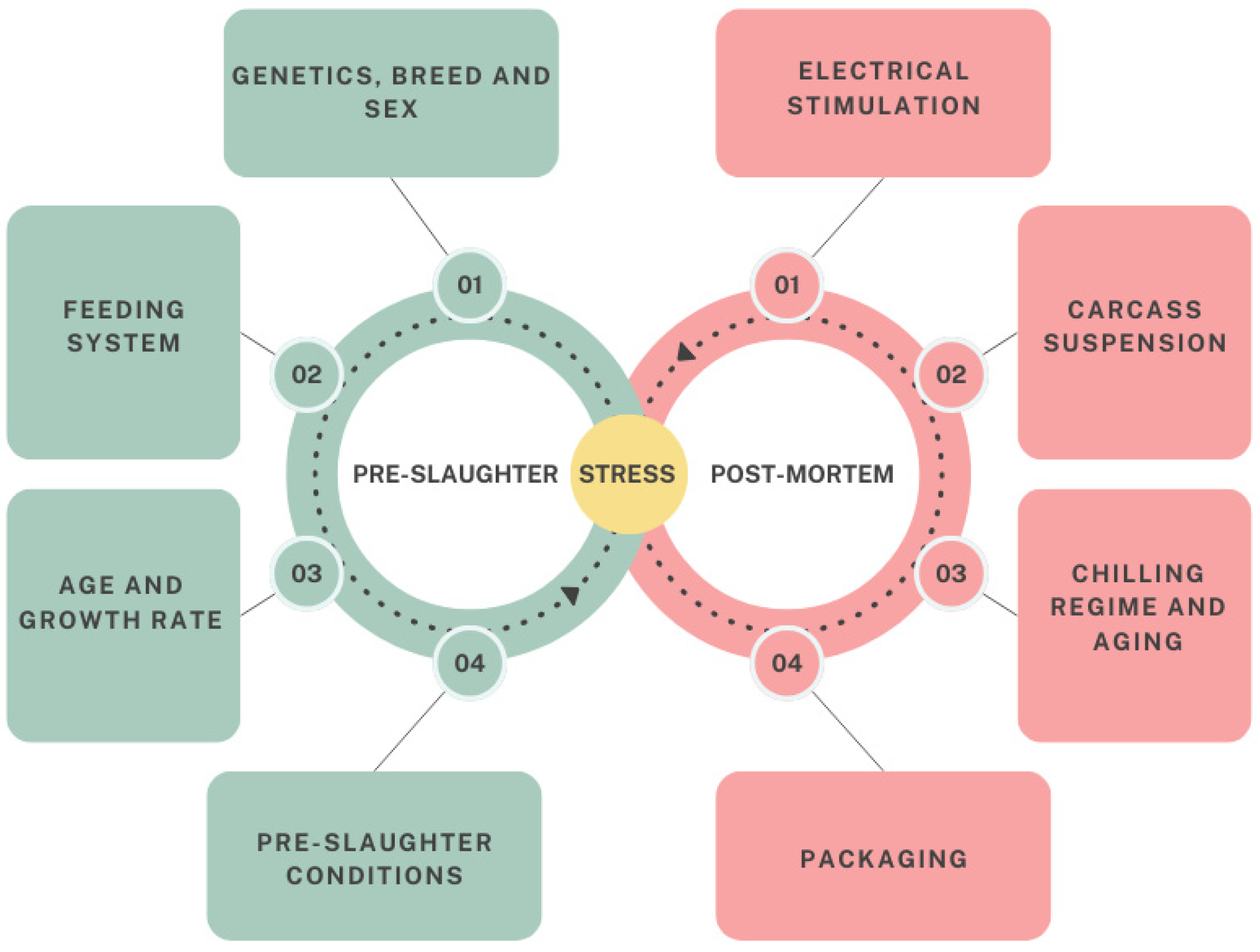 Applsci 15 01719 g001