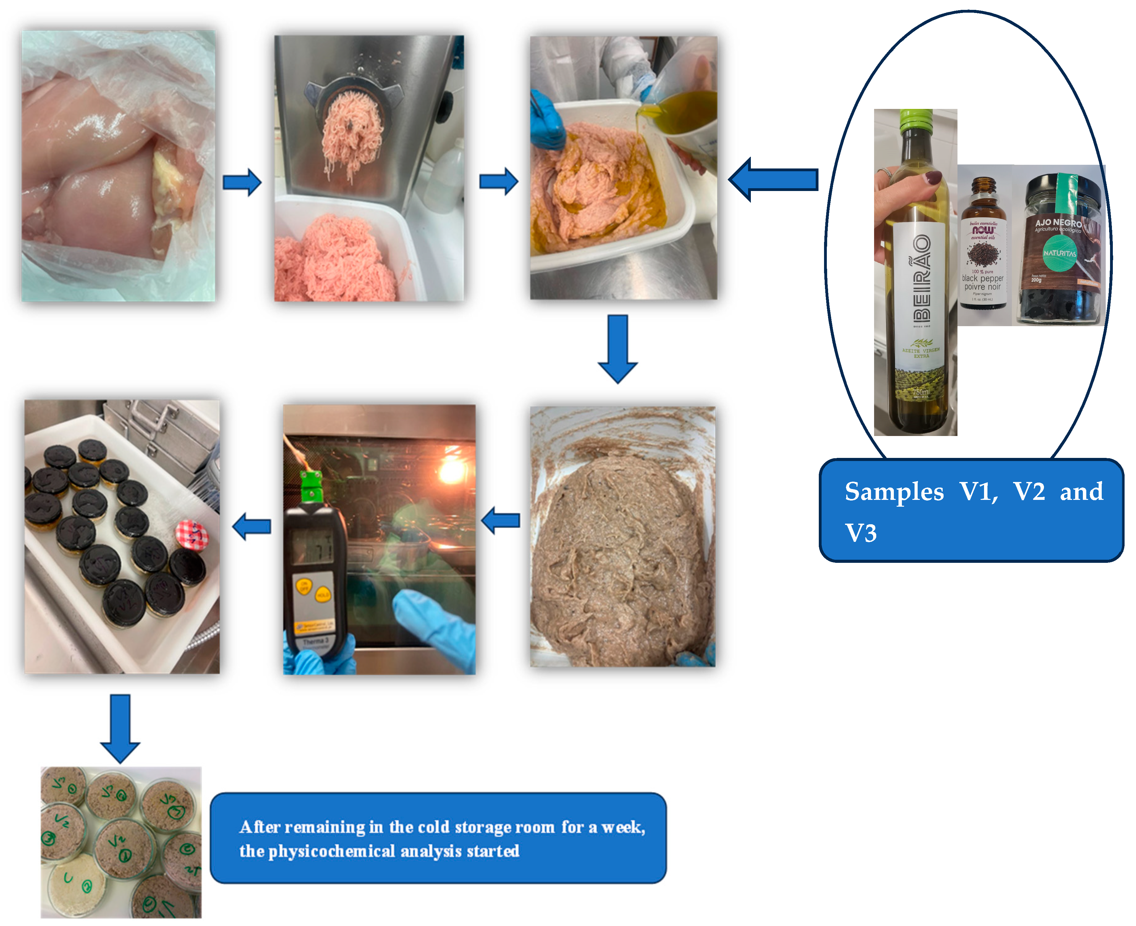 Applsci 15 01733 g001