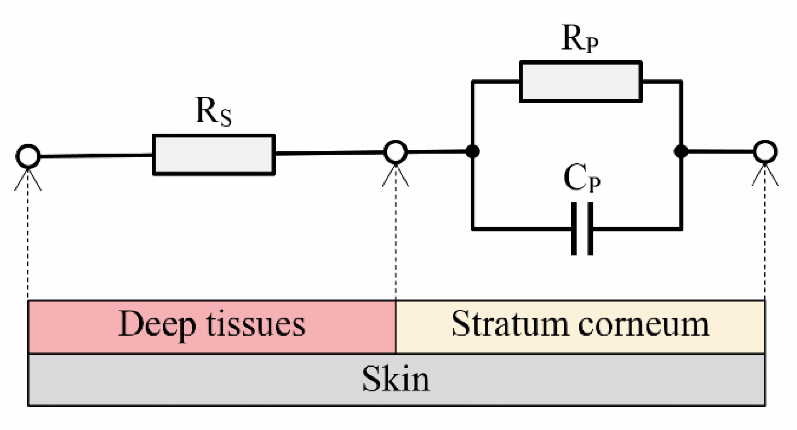 Applsci 15 01748 g002 Applsci 15 01748 g002