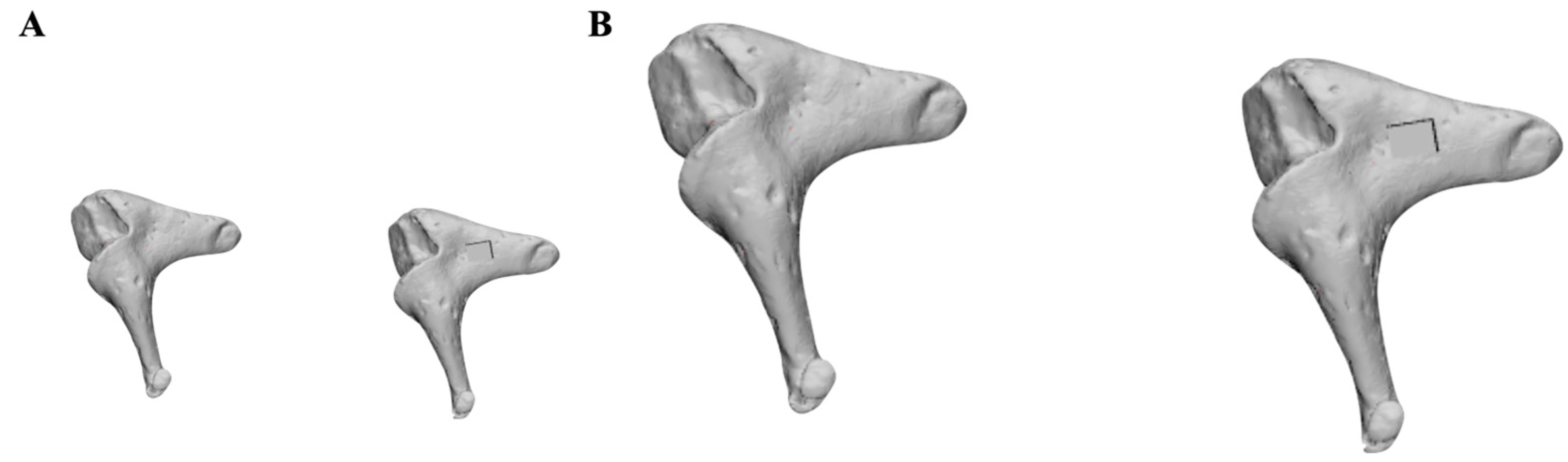 Applsci 15 01763 g001