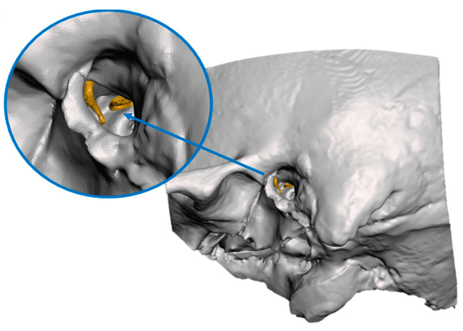 Applsci 15 01763 g002