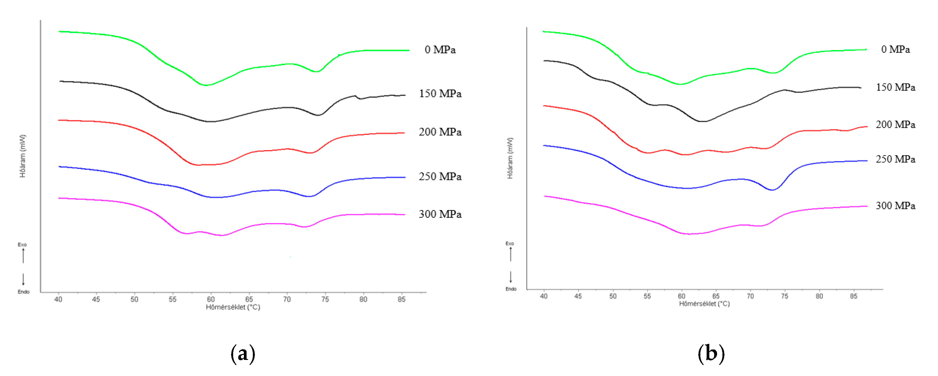 Applsci 15 01766 g008 Applsci 15 01766 g008