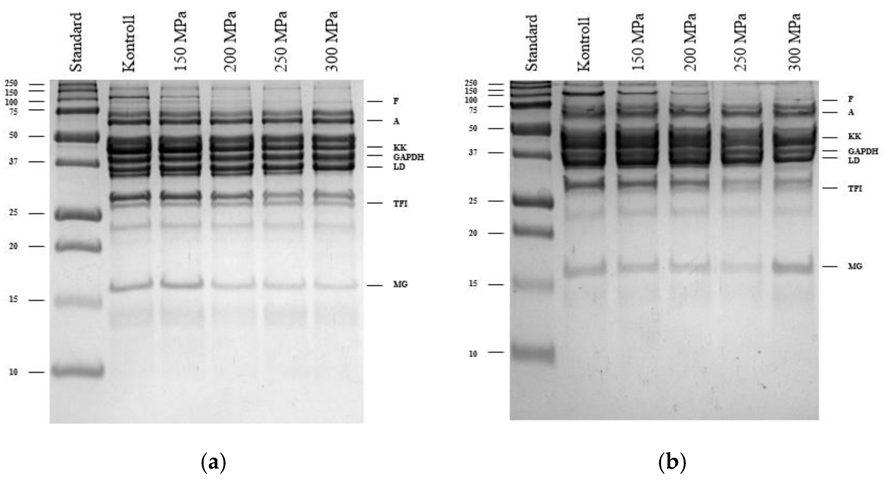 Applsci 15 01766 g009 Applsci 15 01766 g009